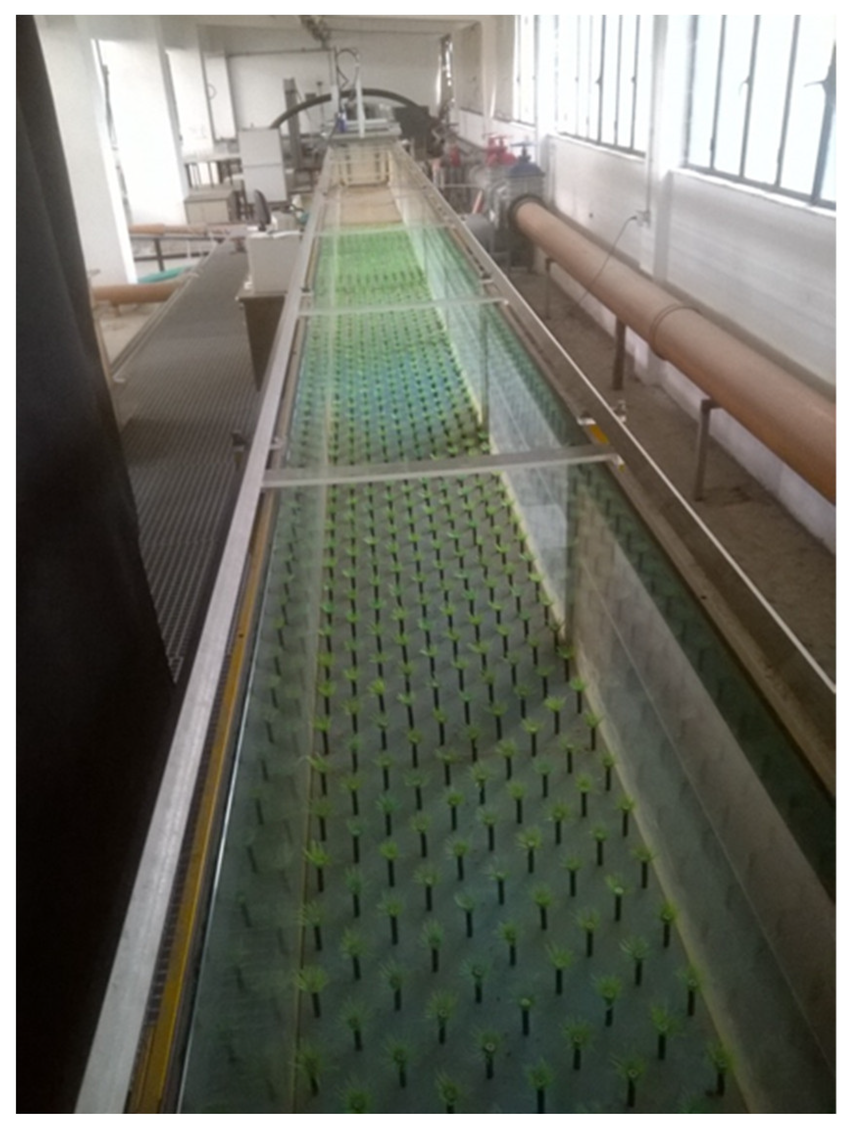 Fluids 07 00290 g001