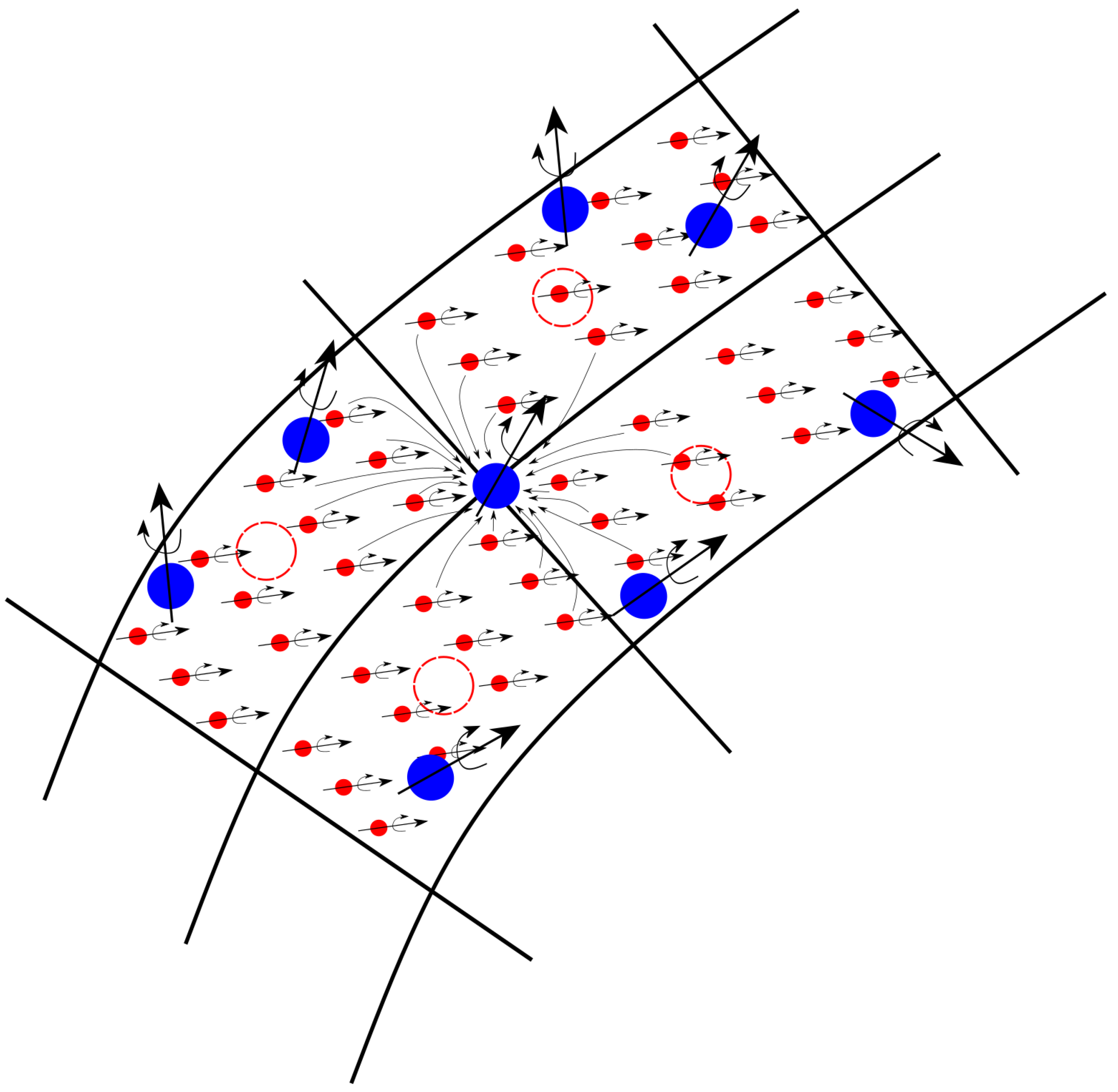Fluids 07 00296 g003