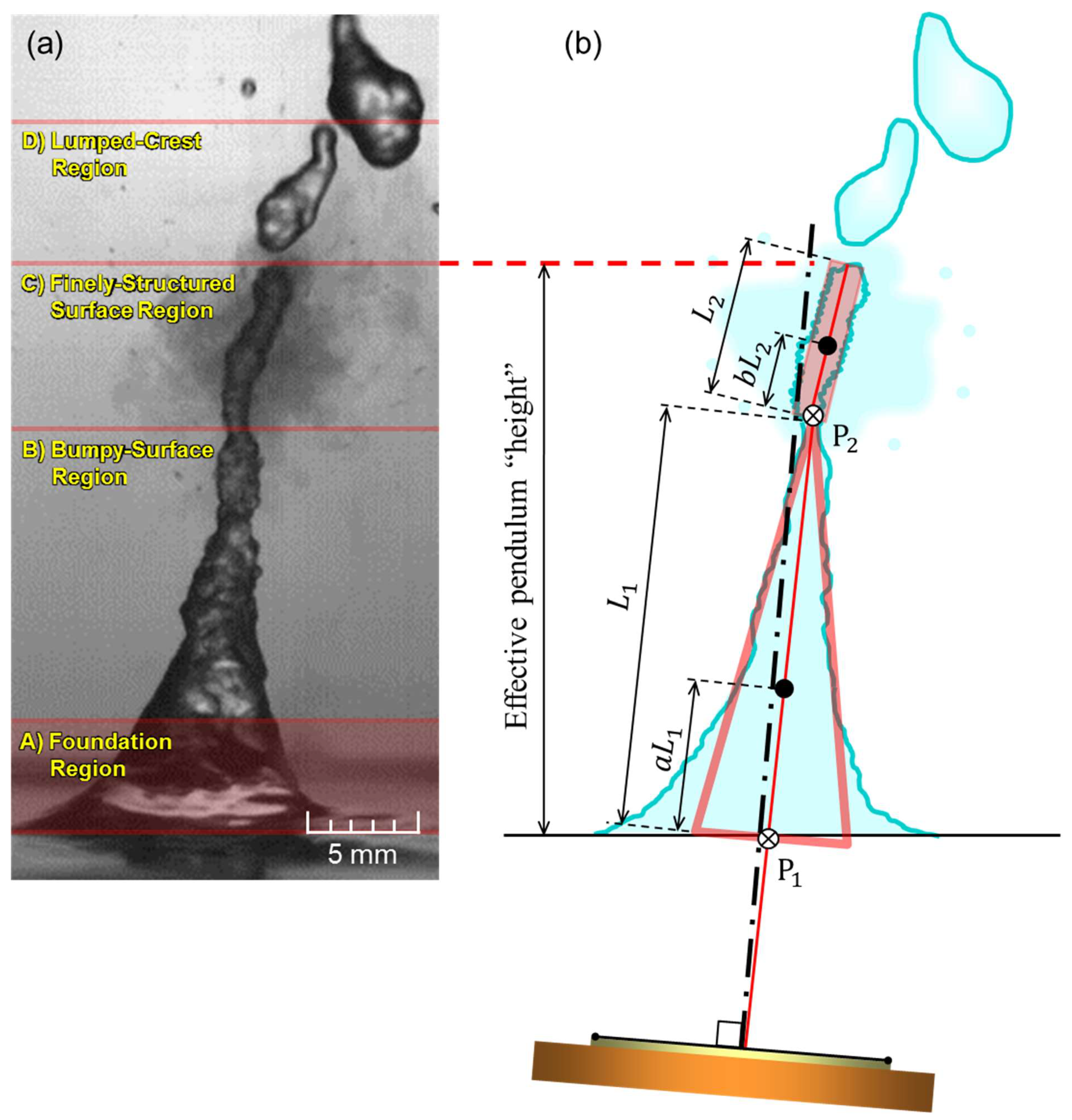 Fluids 07 00306 g007