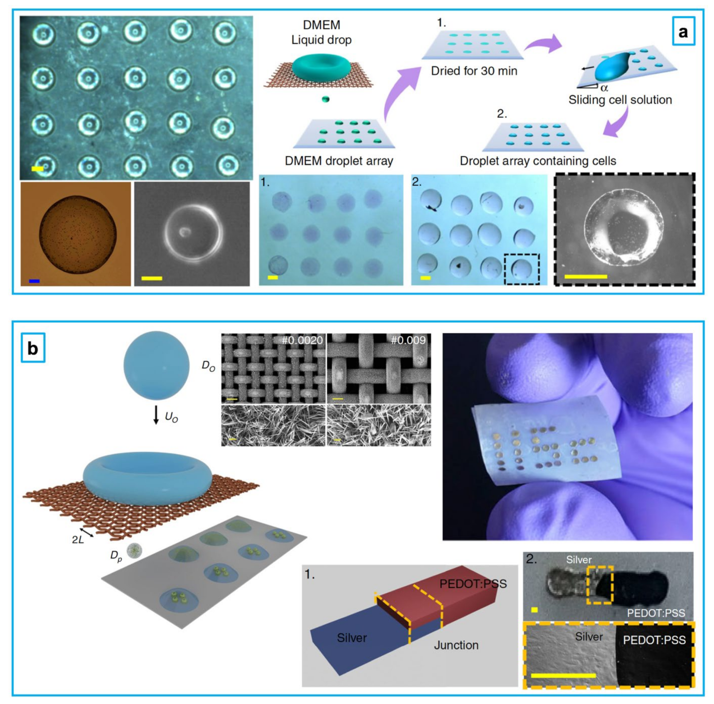 Fluids 07 00318 g004