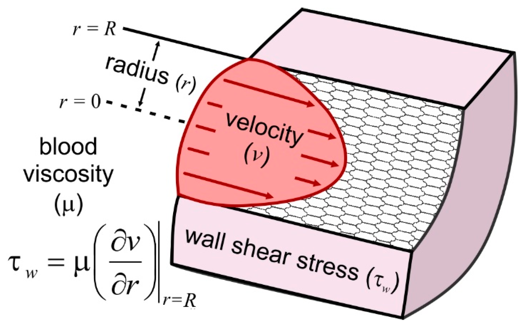 Fluids 07 00325 g001