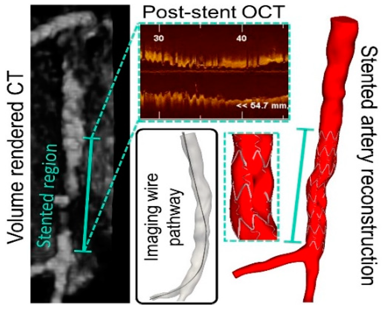 Fluids 07 00325 g002