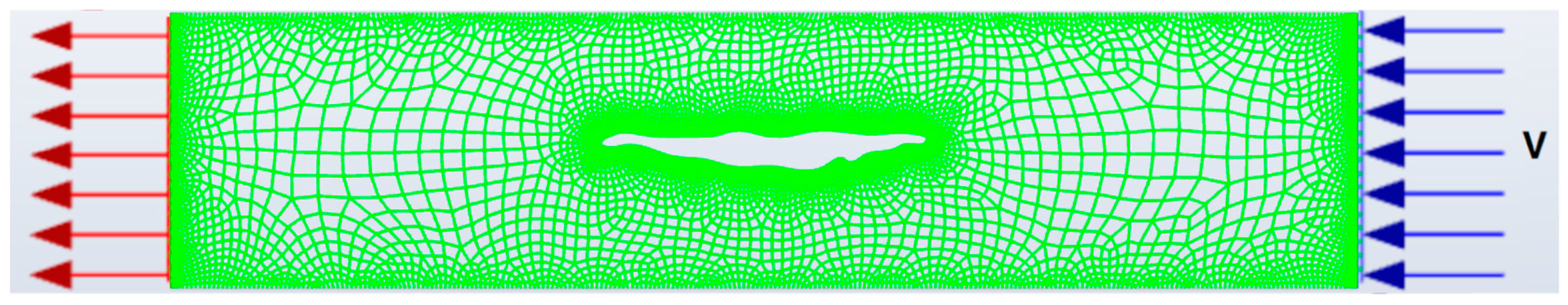 Fluids 07 00332 g005