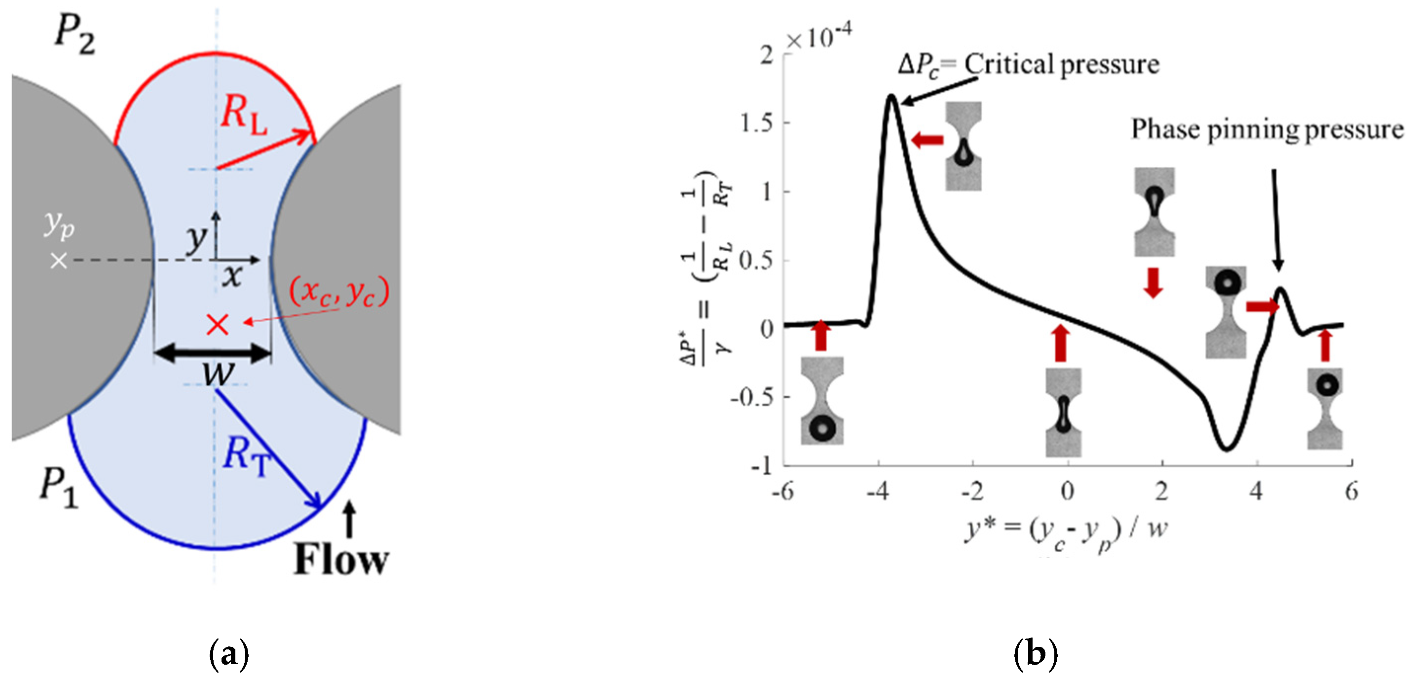 Fluids 07 00333 g001