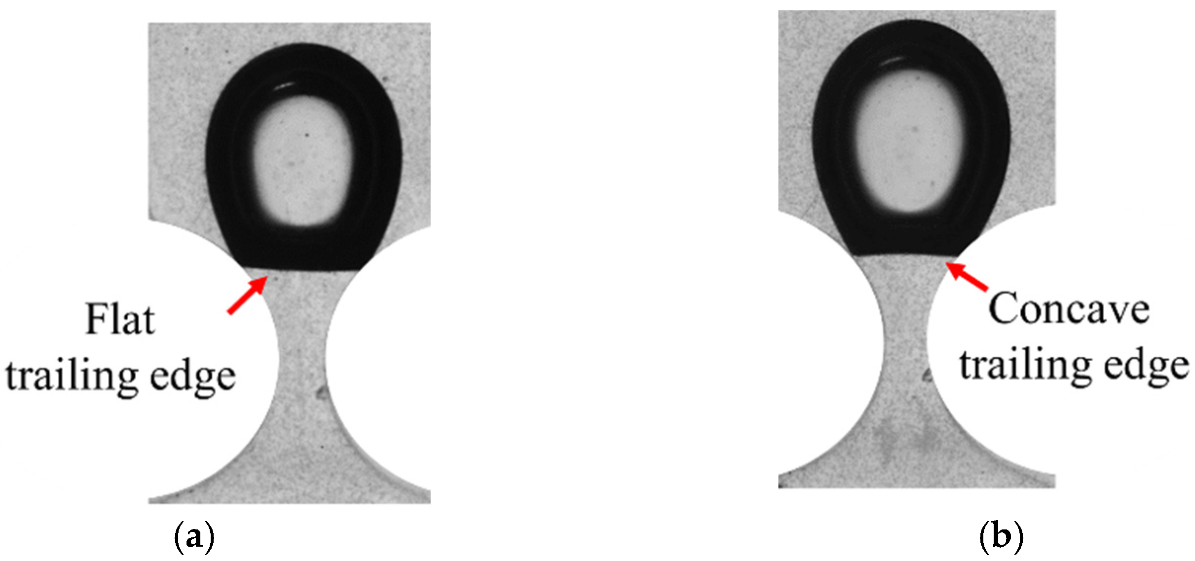 Fluids 07 00333 g007