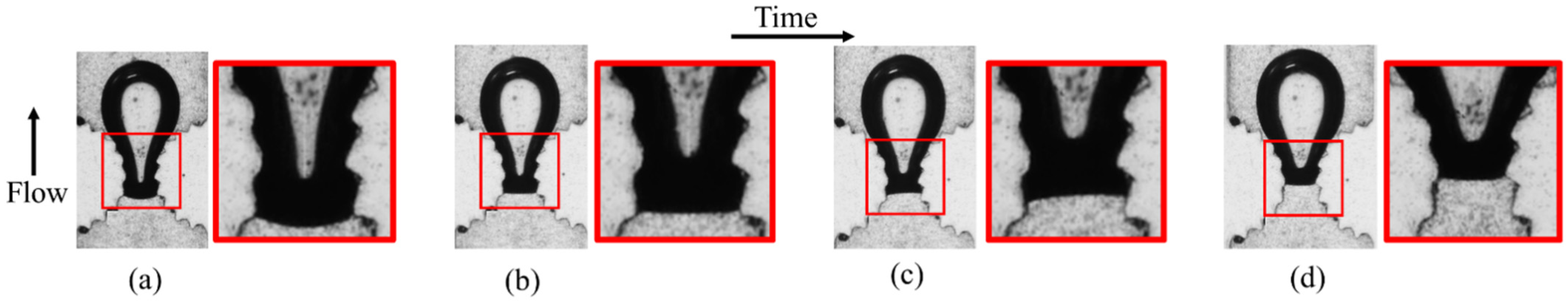 Fluids 07 00333 g008