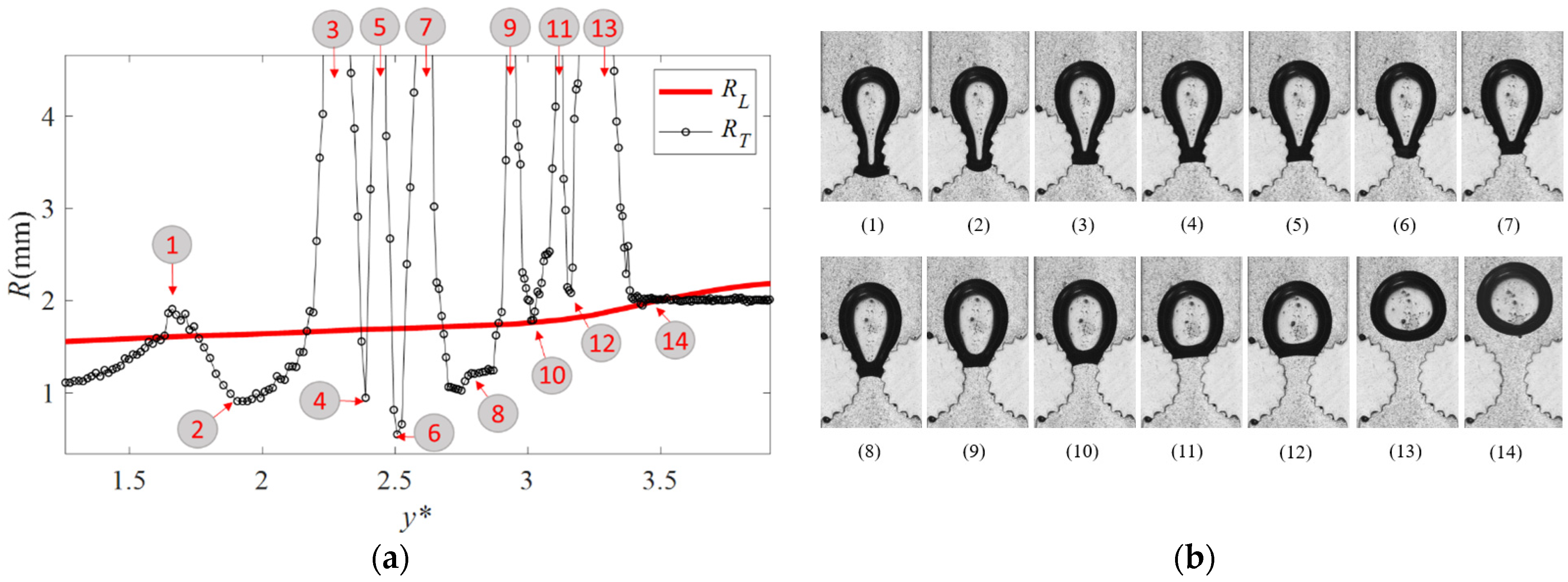 Fluids 07 00333 g012