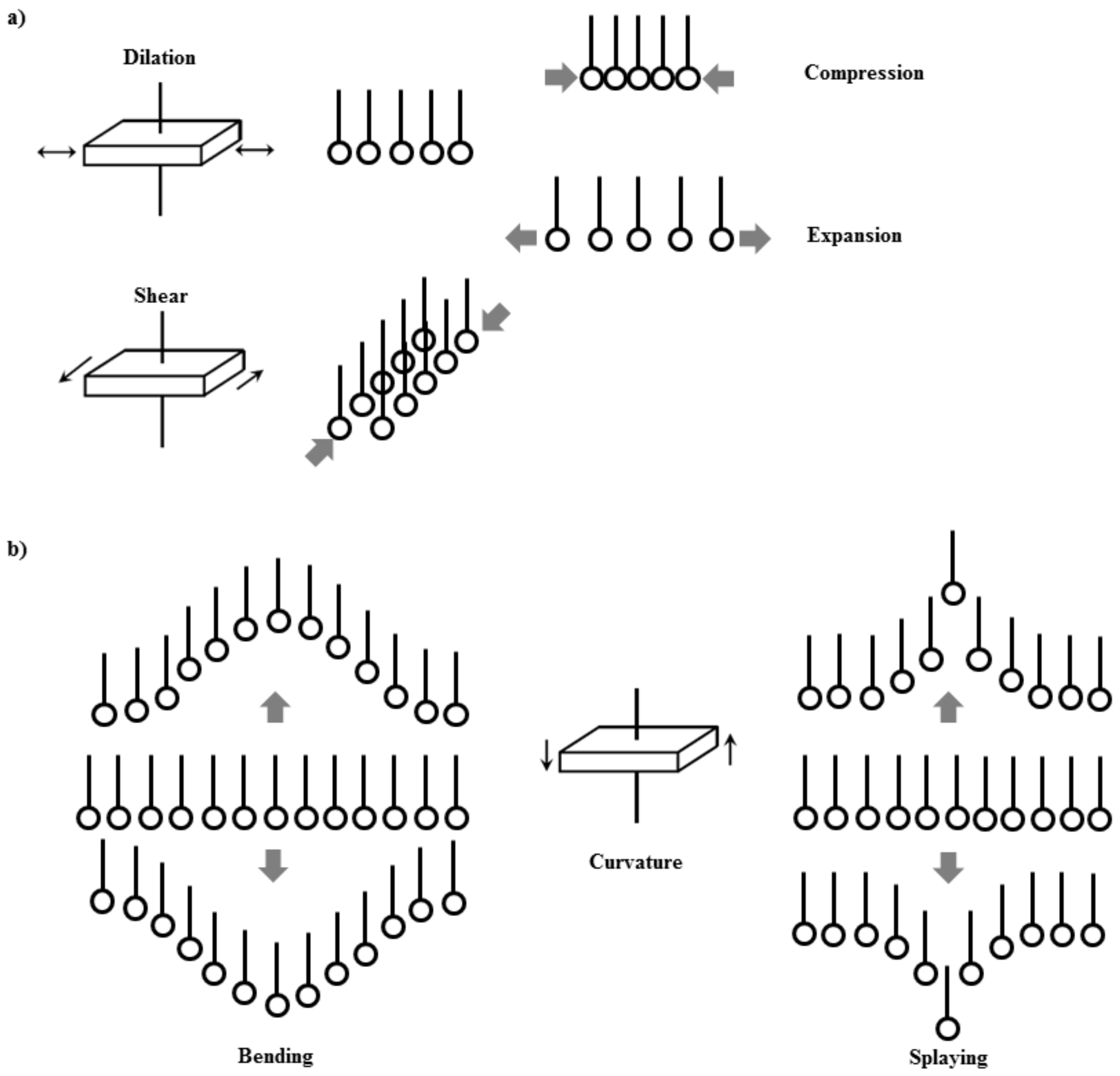 Fluids 07 00335 g001