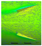 Fluids 07 00340 i009 Fluids 07 00340 i009