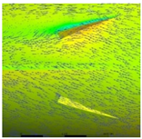 Fluids 07 00340 i011 Fluids 07 00340 i011