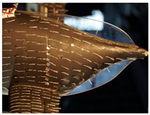 Fluids 07 00340 i017 Fluids 07 00340 i017