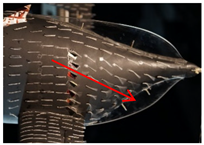 Fluids 07 00340 i019 Fluids 07 00340 i019