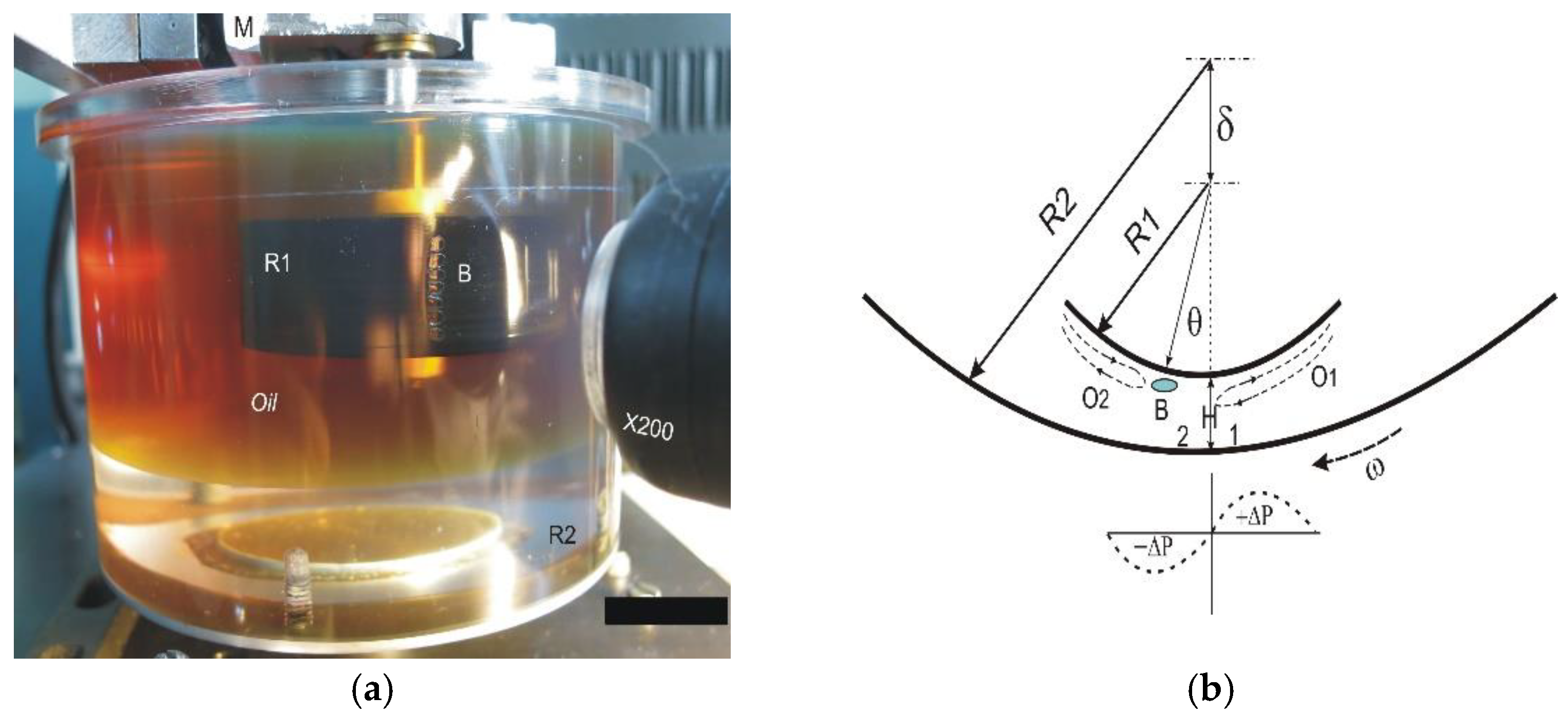 Fluids 07 00357 g001