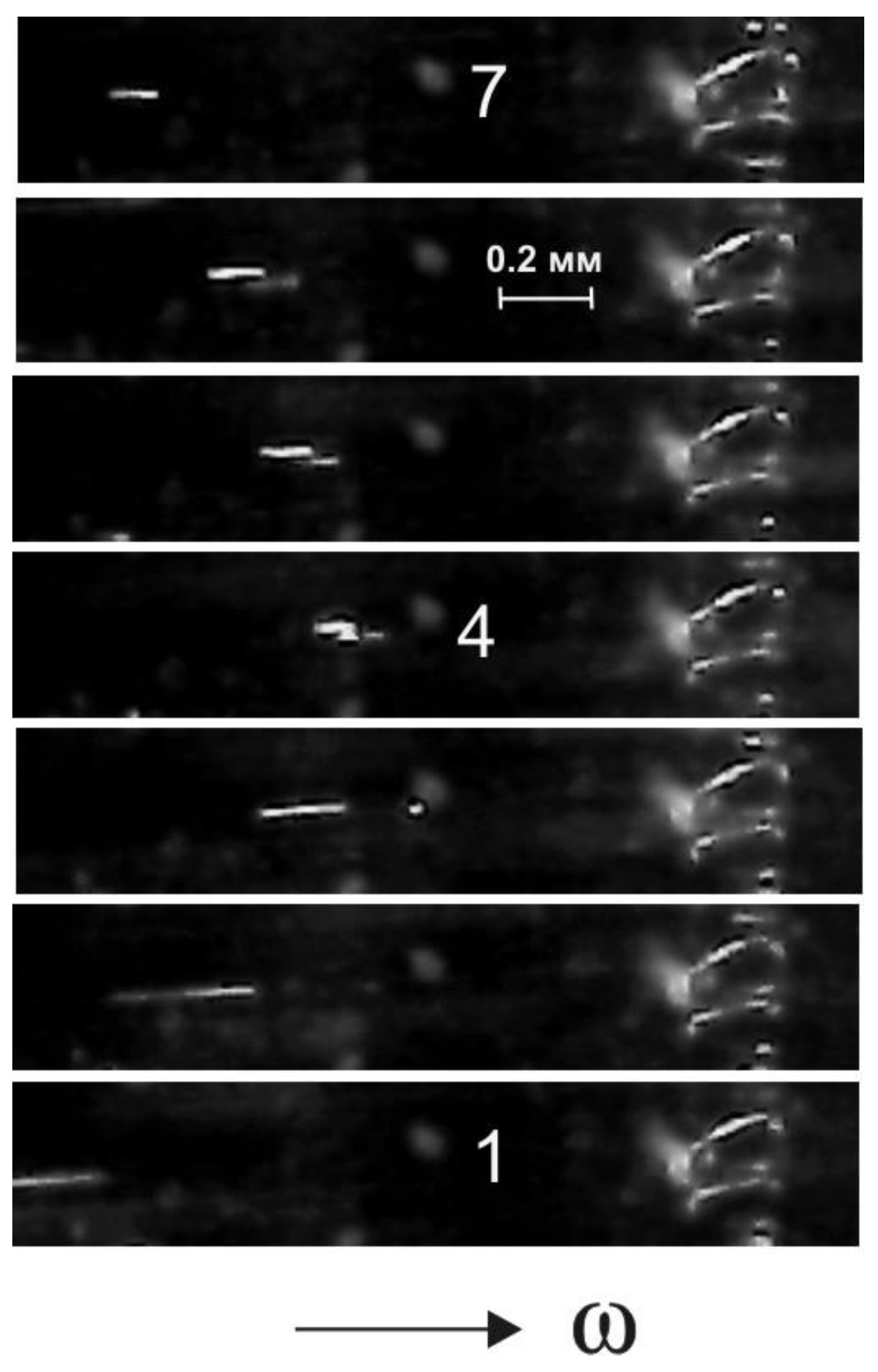 Fluids 07 00357 g006