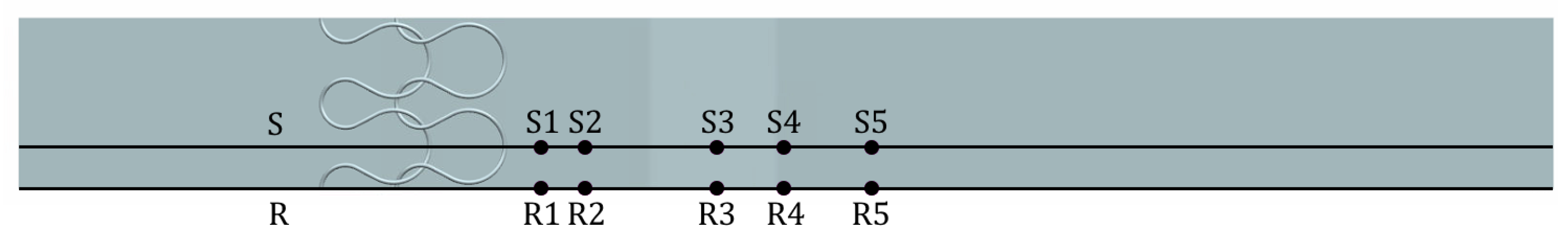 Fluids 07 00370 g003