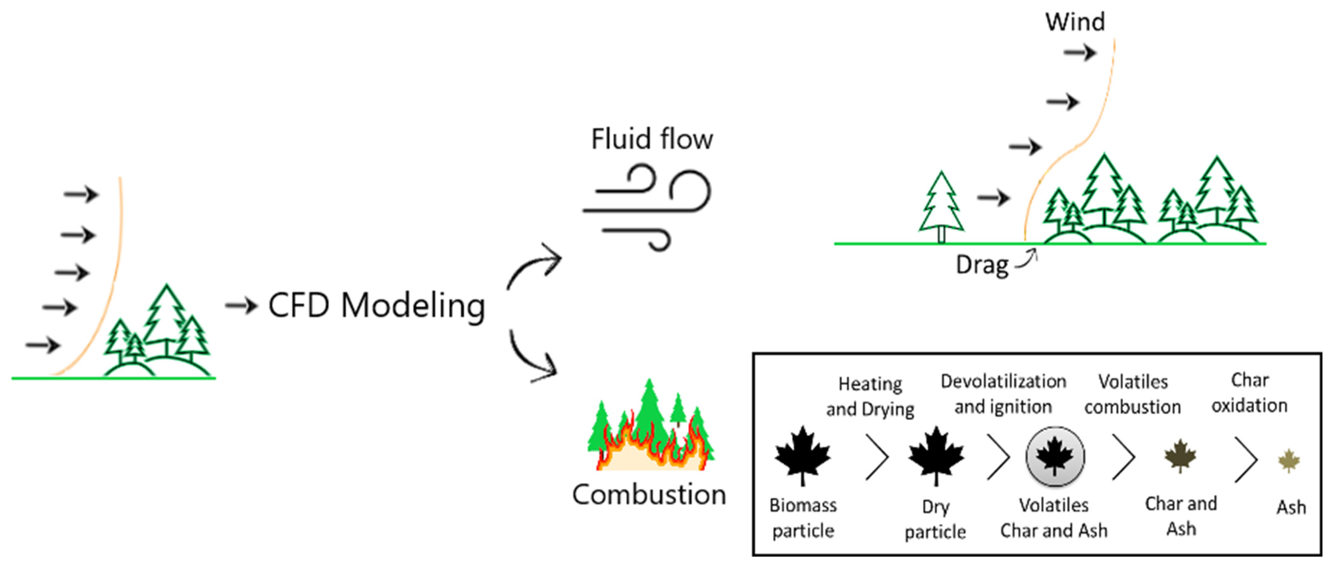 Fluids 07 00374 g005
