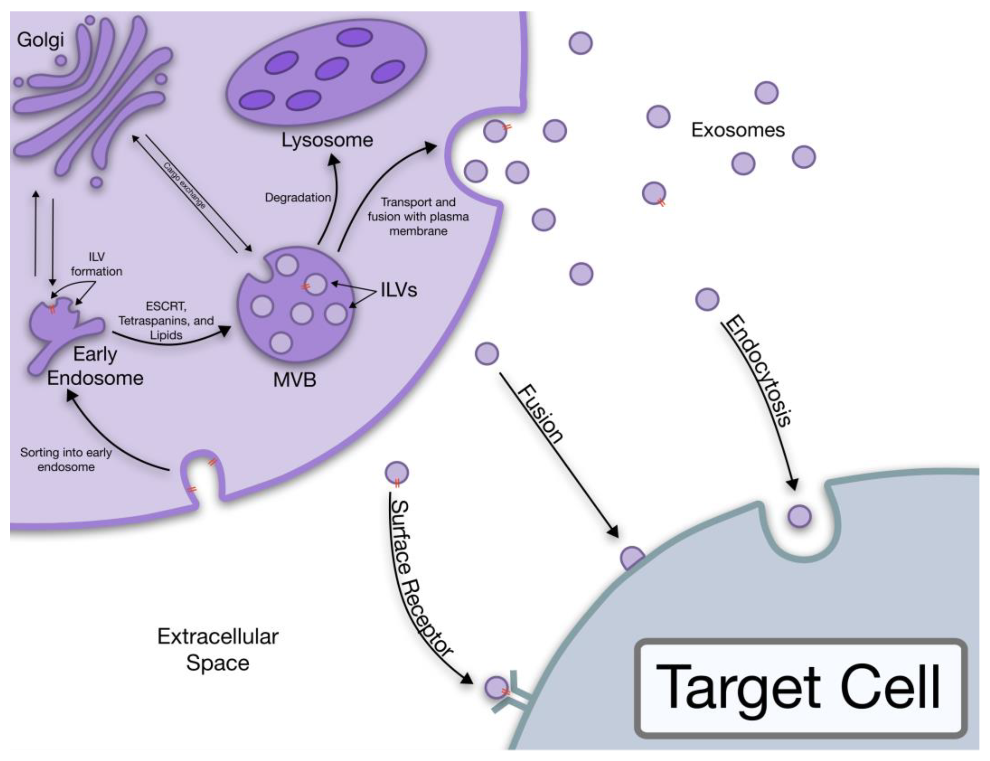 Fluids 08 00007 g001 Fluids 08 00007 g001