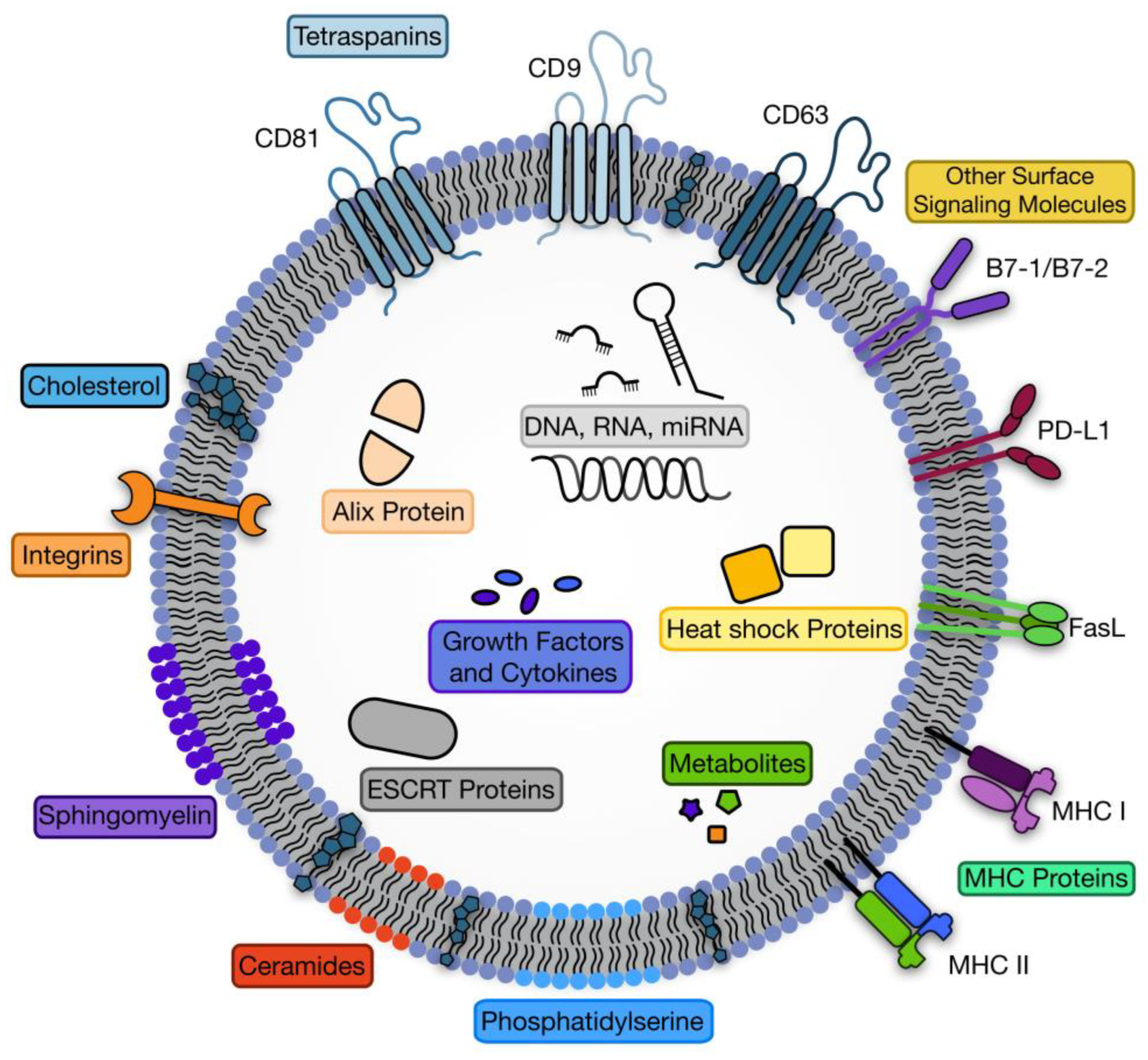 Fluids 08 00007 g002 Fluids 08 00007 g002