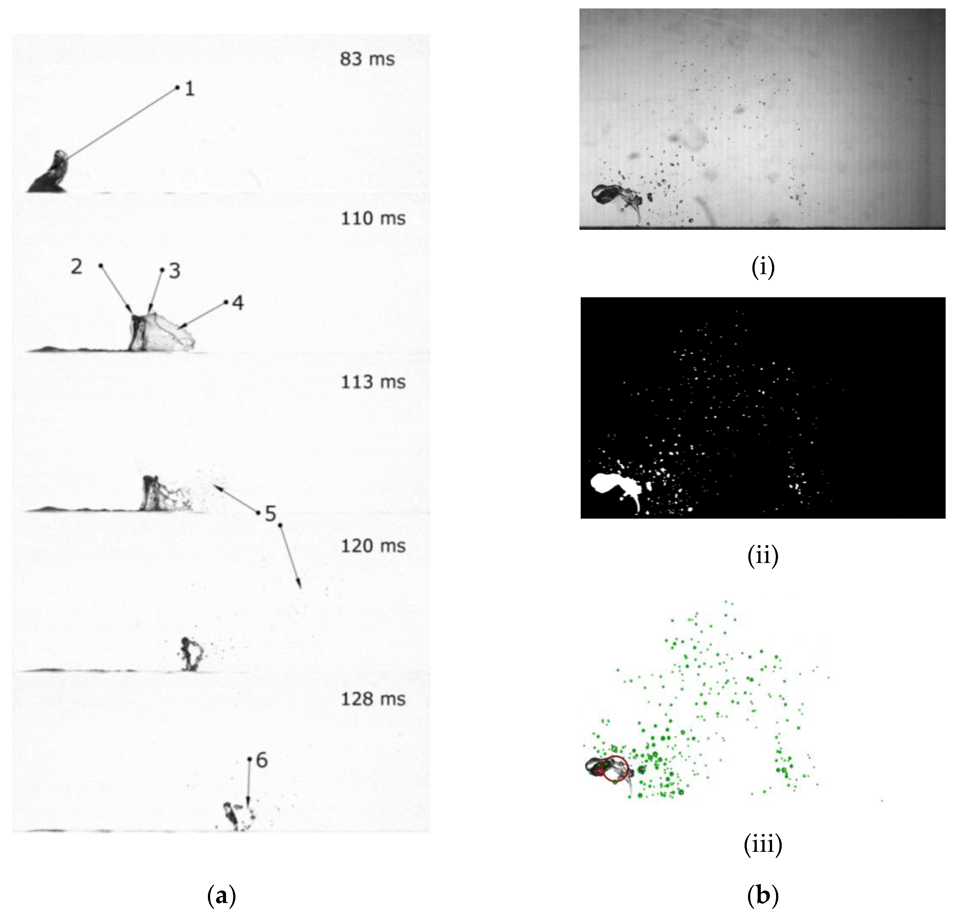 Fluids 08 00008 g002