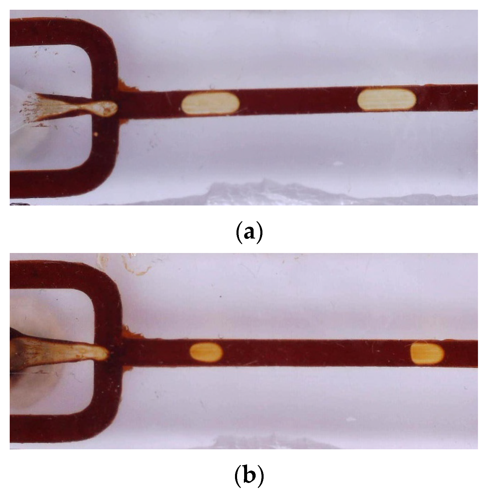 Fluids 08 00042 g007