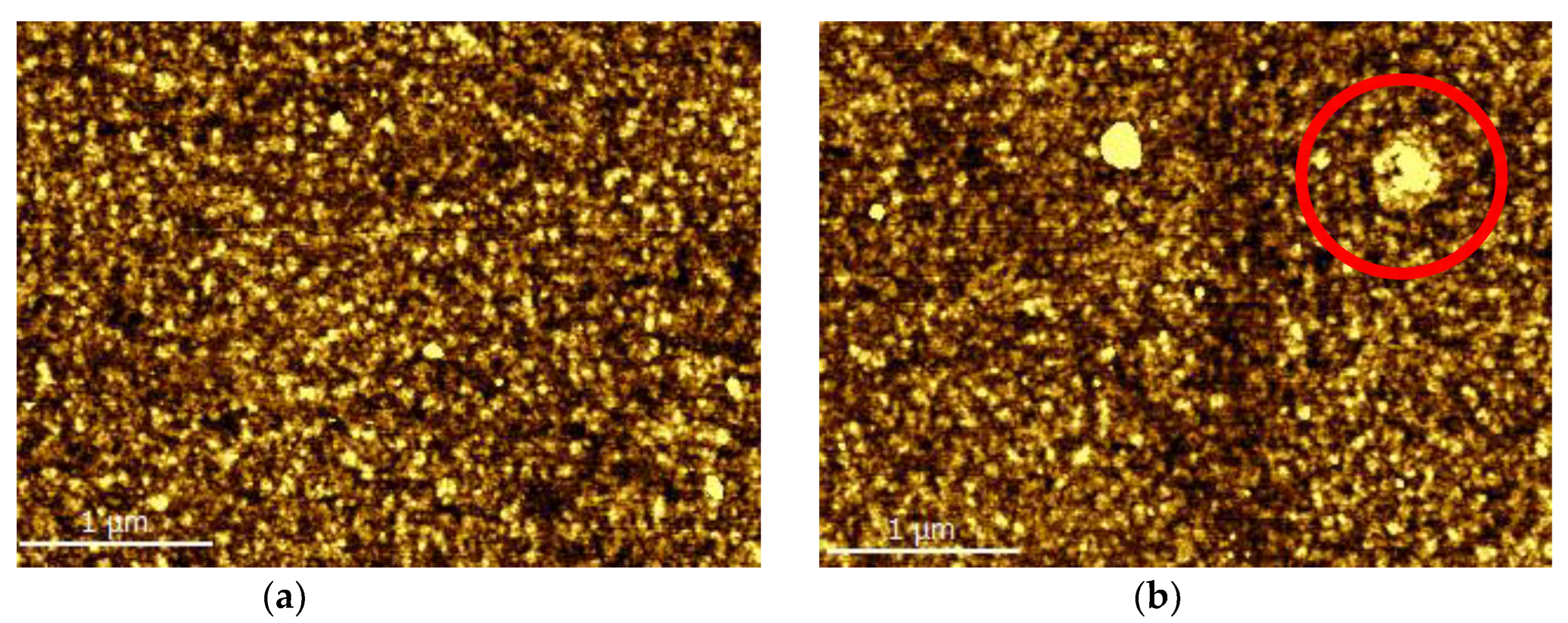 Fluids 08 00047 g004