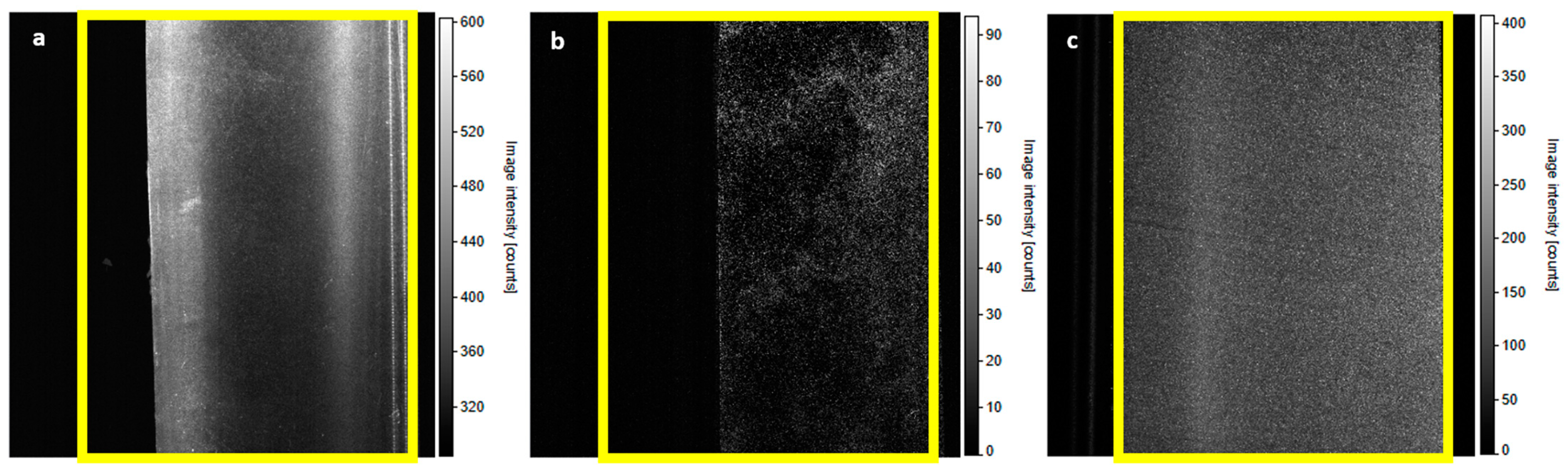 Fluids 08 00062 g012