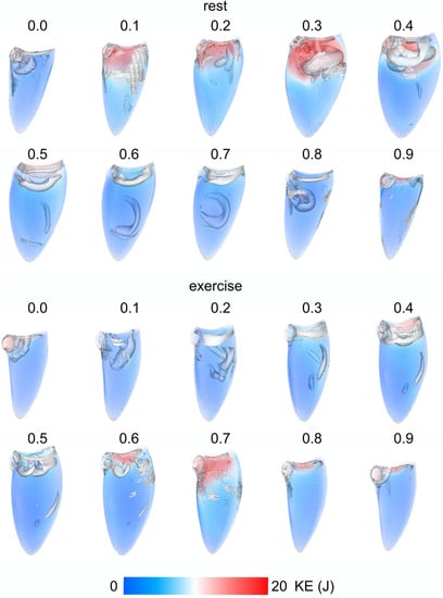 Fluids 08 00071 g0a2
