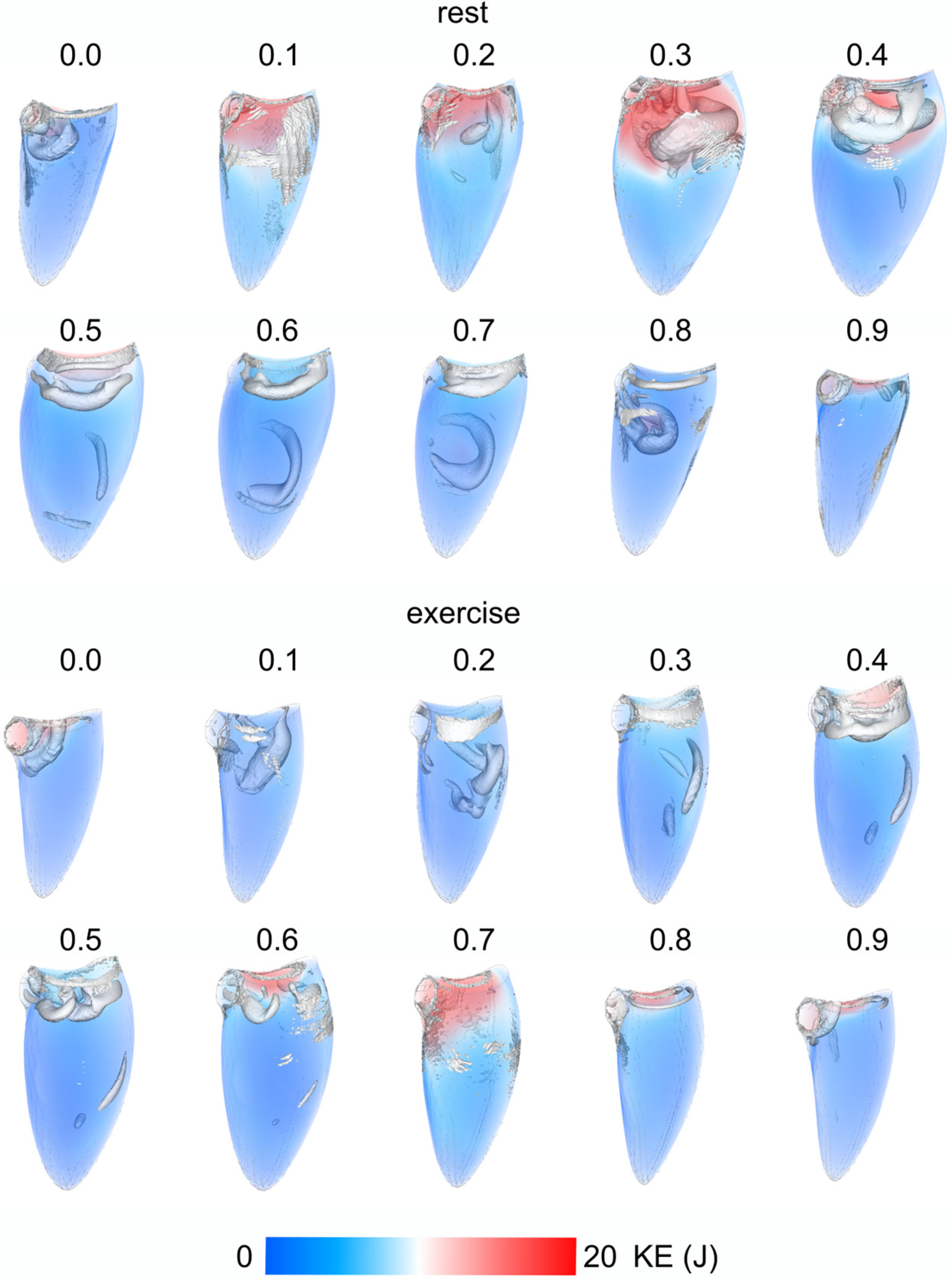 Fluids 08 00071 g0a2