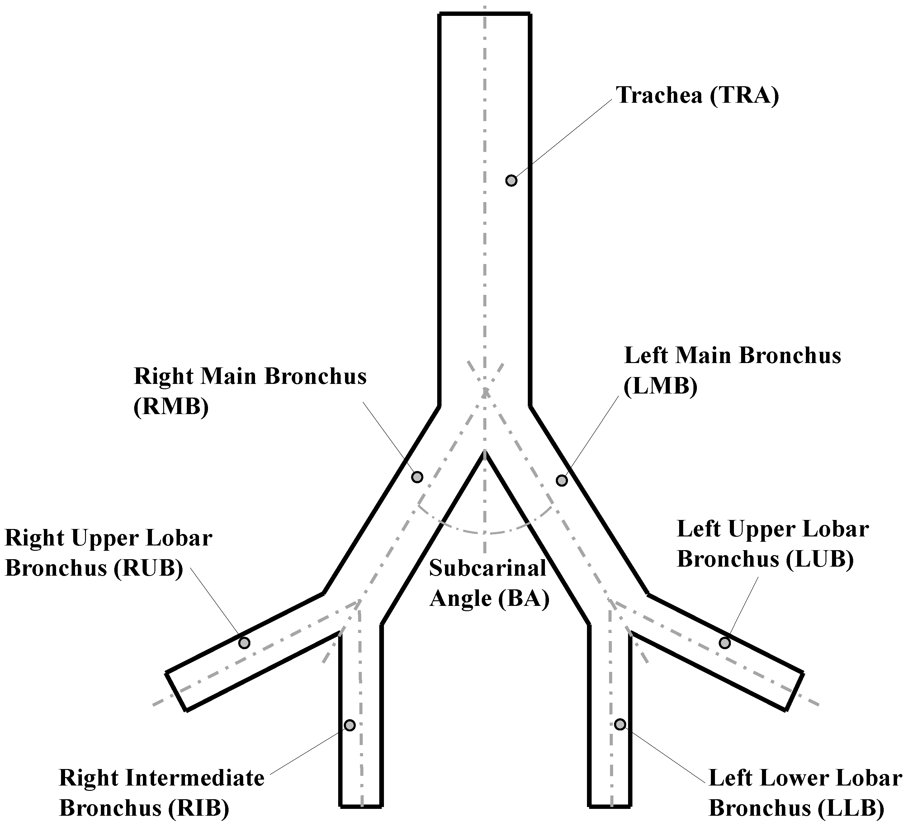 Fluids 08 00078 g001