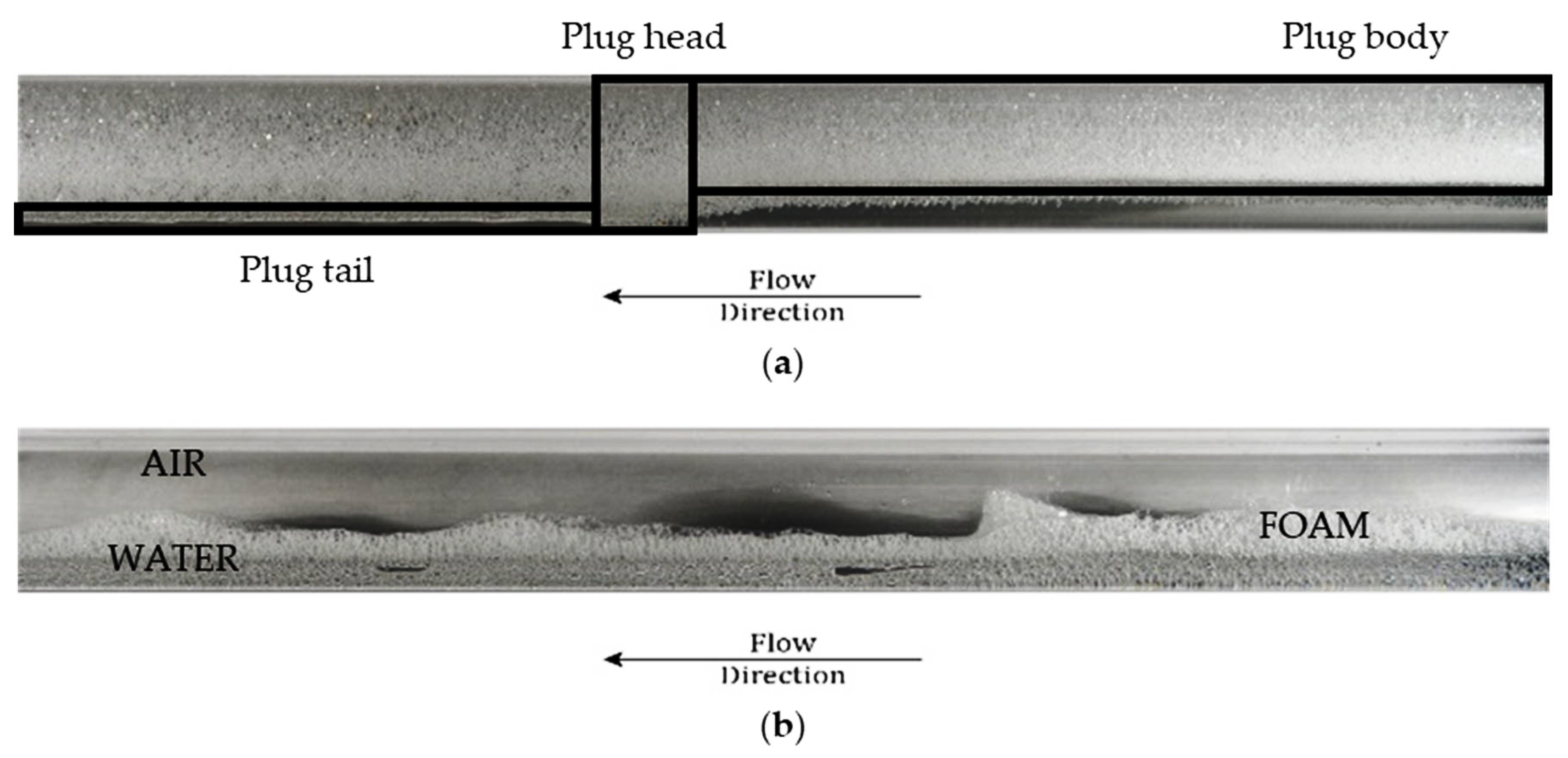 Fluids 08 00089 g002
