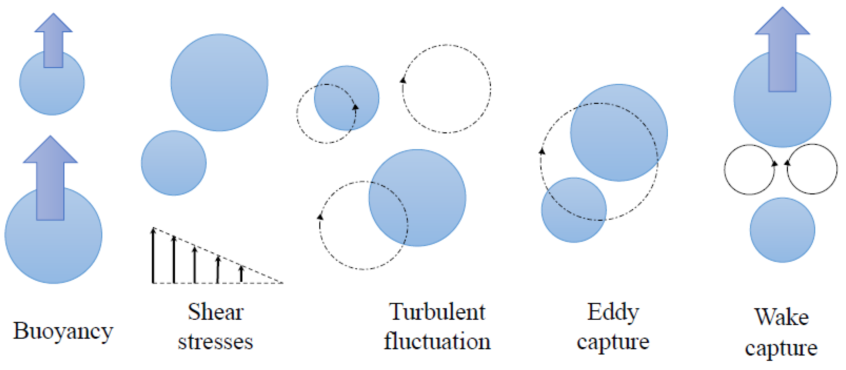 Fluids 08 00091 g012