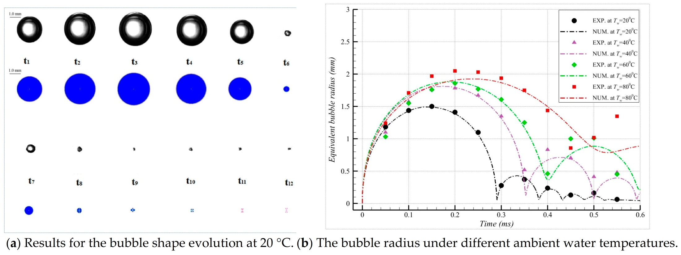 Fluids 08 00100 g010