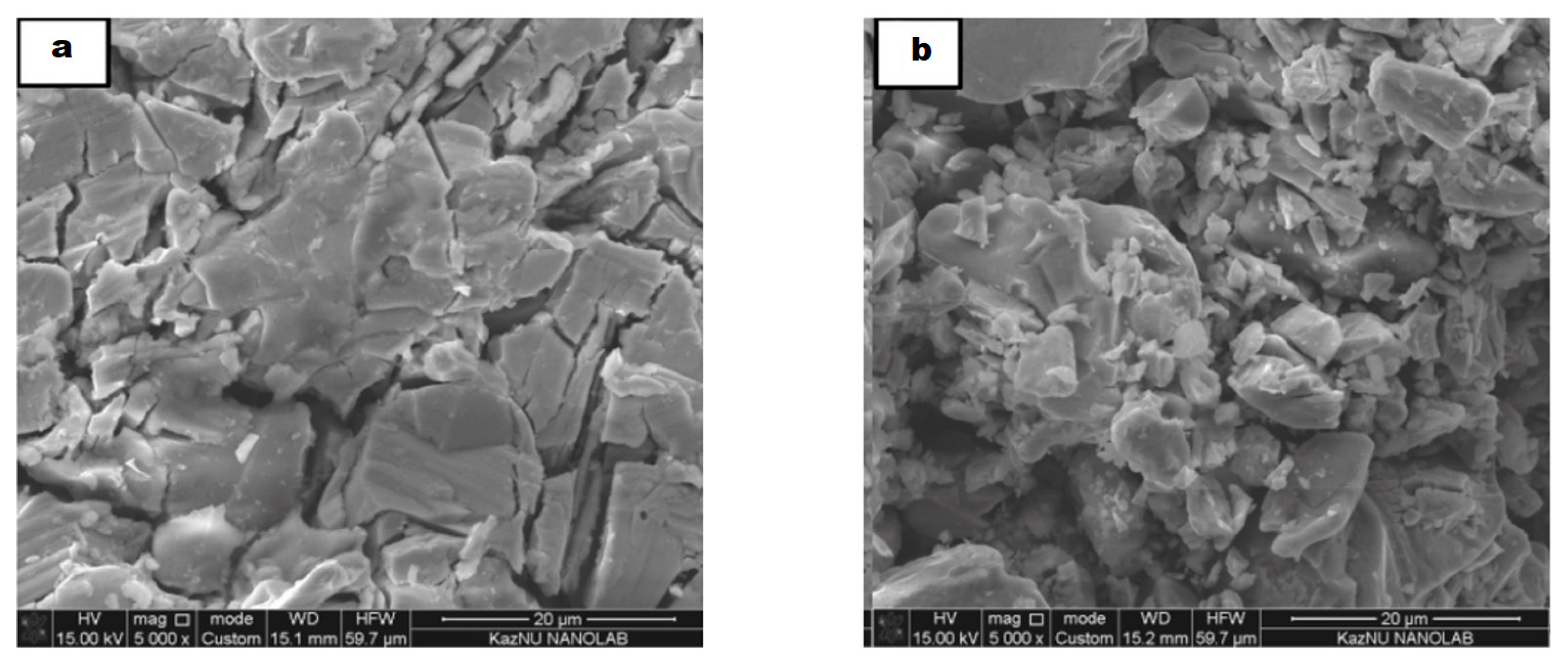 Fluids 08 00108 g002