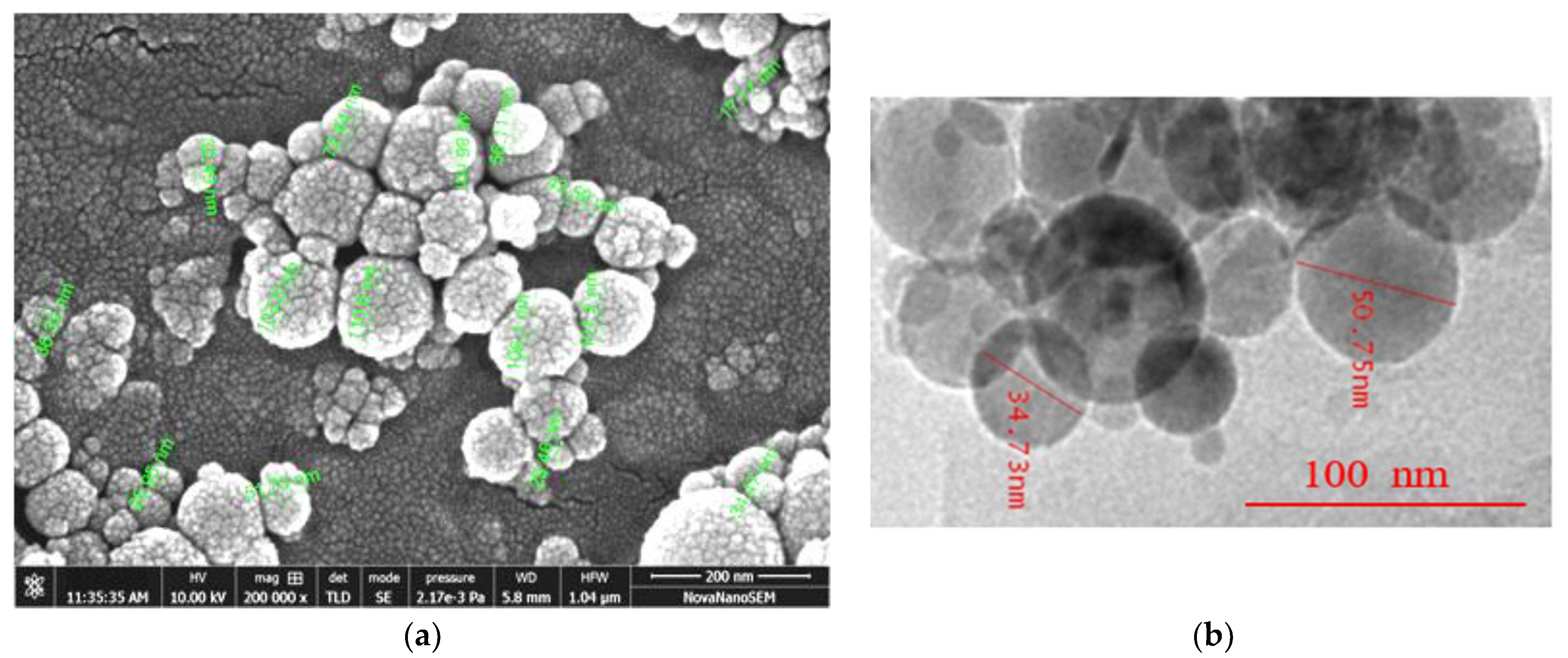 Fluids 08 00120 g001