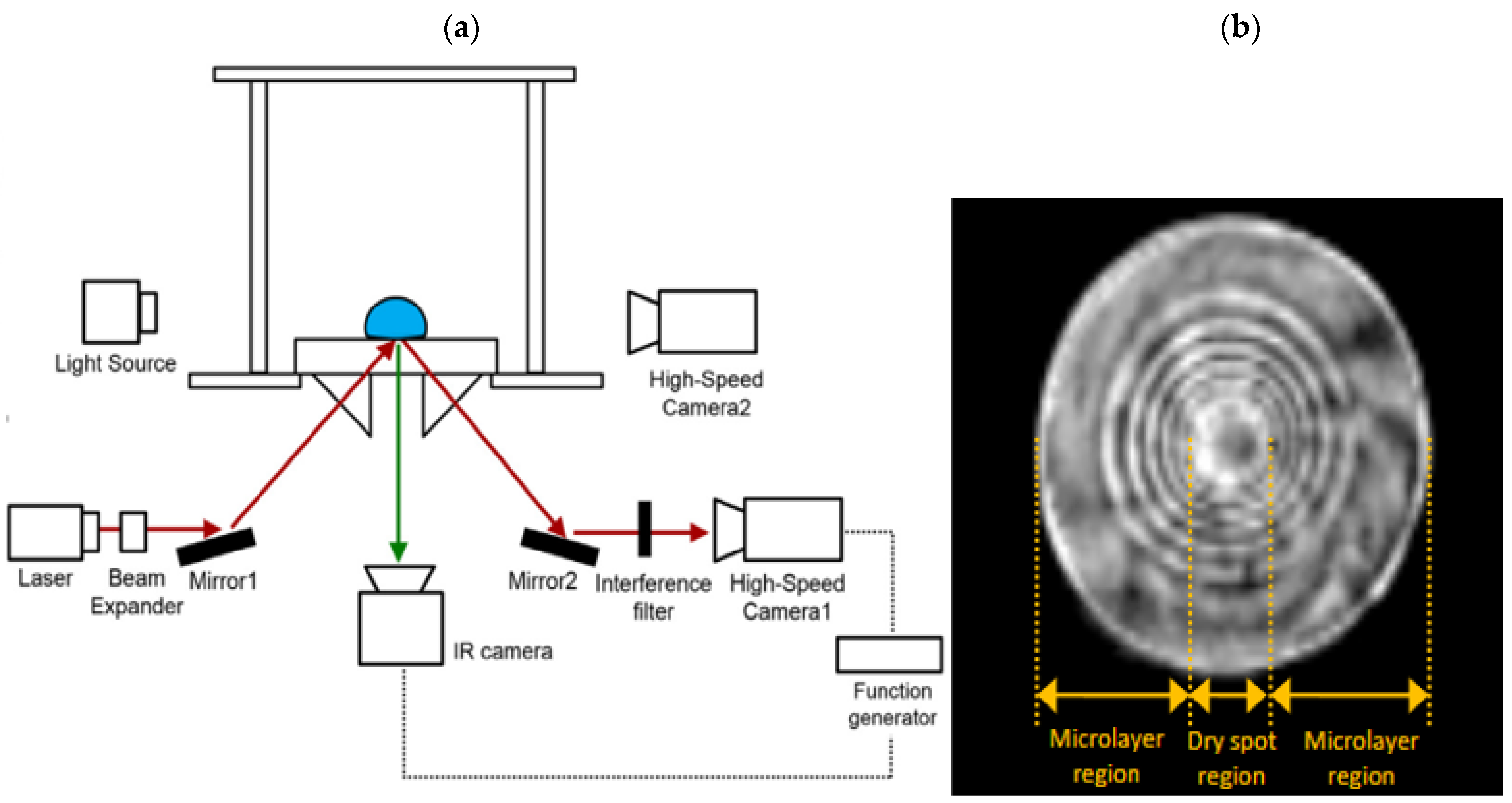 Fluids 08 00126 g002