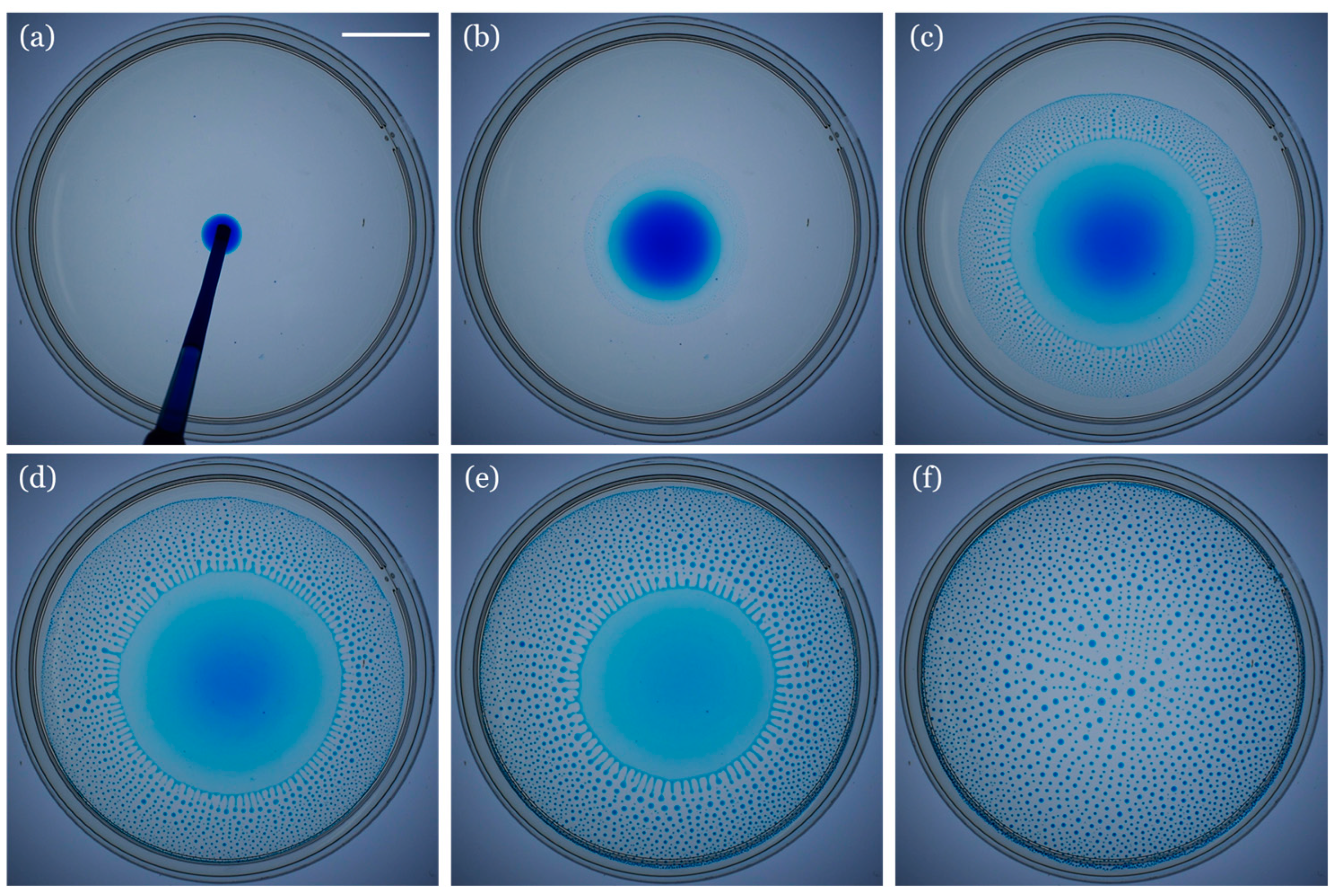 Fluids 08 00138 g002 Fluids 08 00138 g002