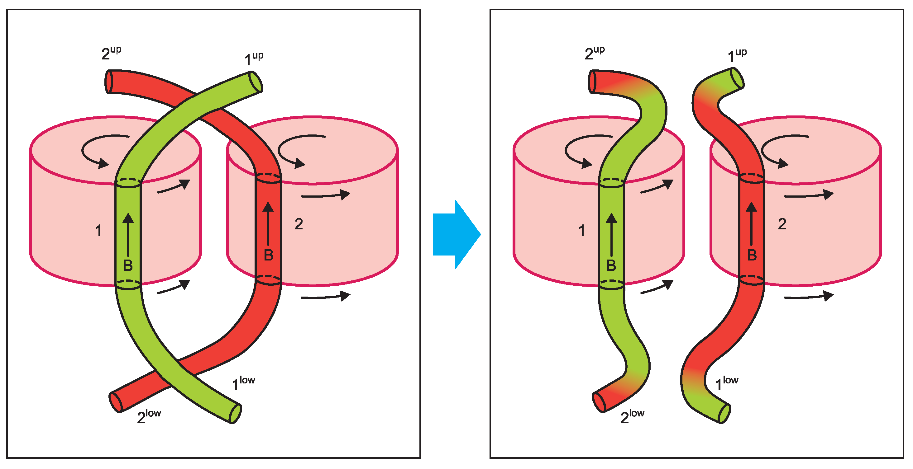 Fluids 08 00142 g008