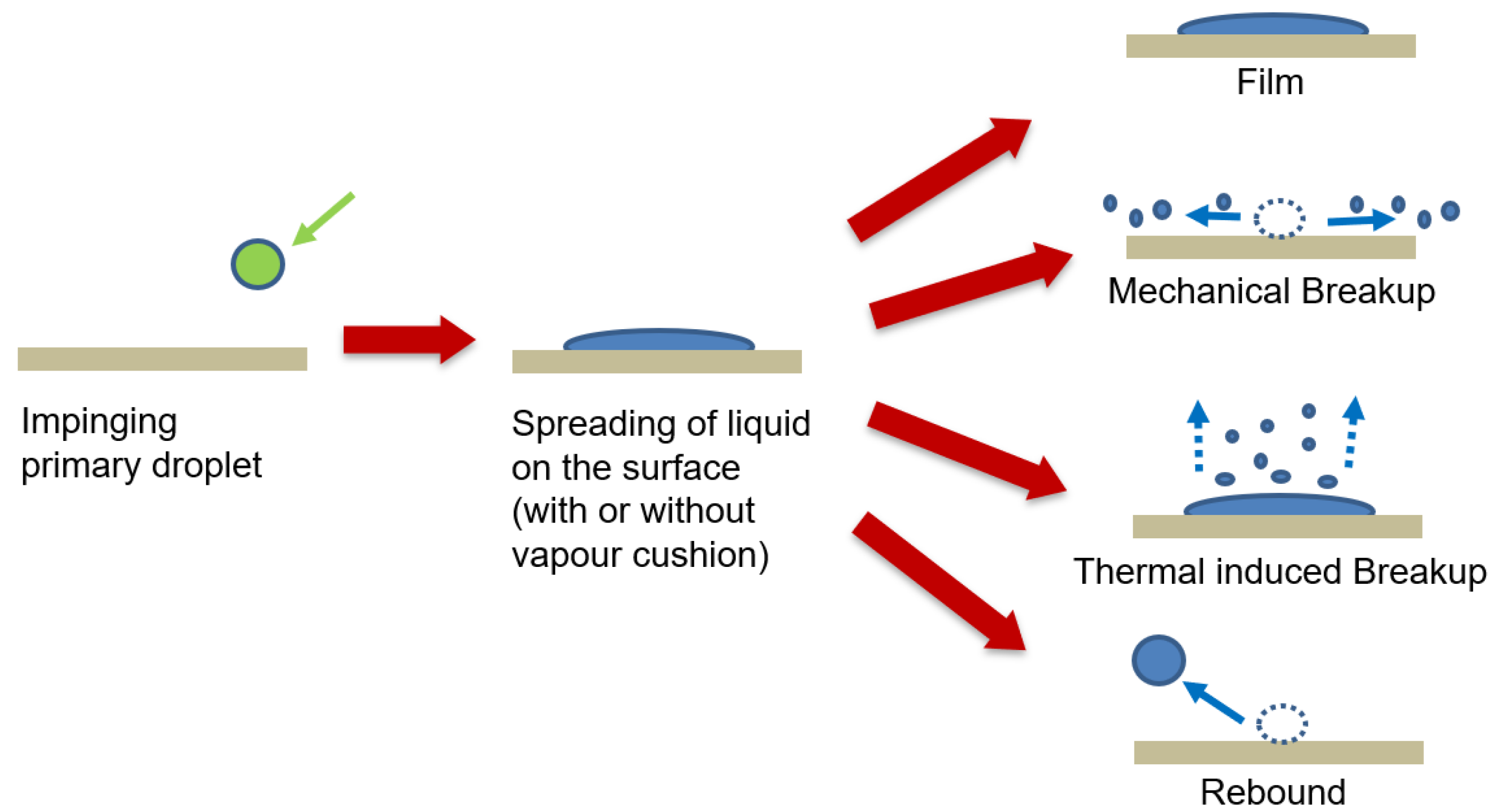Fluids 08 00152 g007