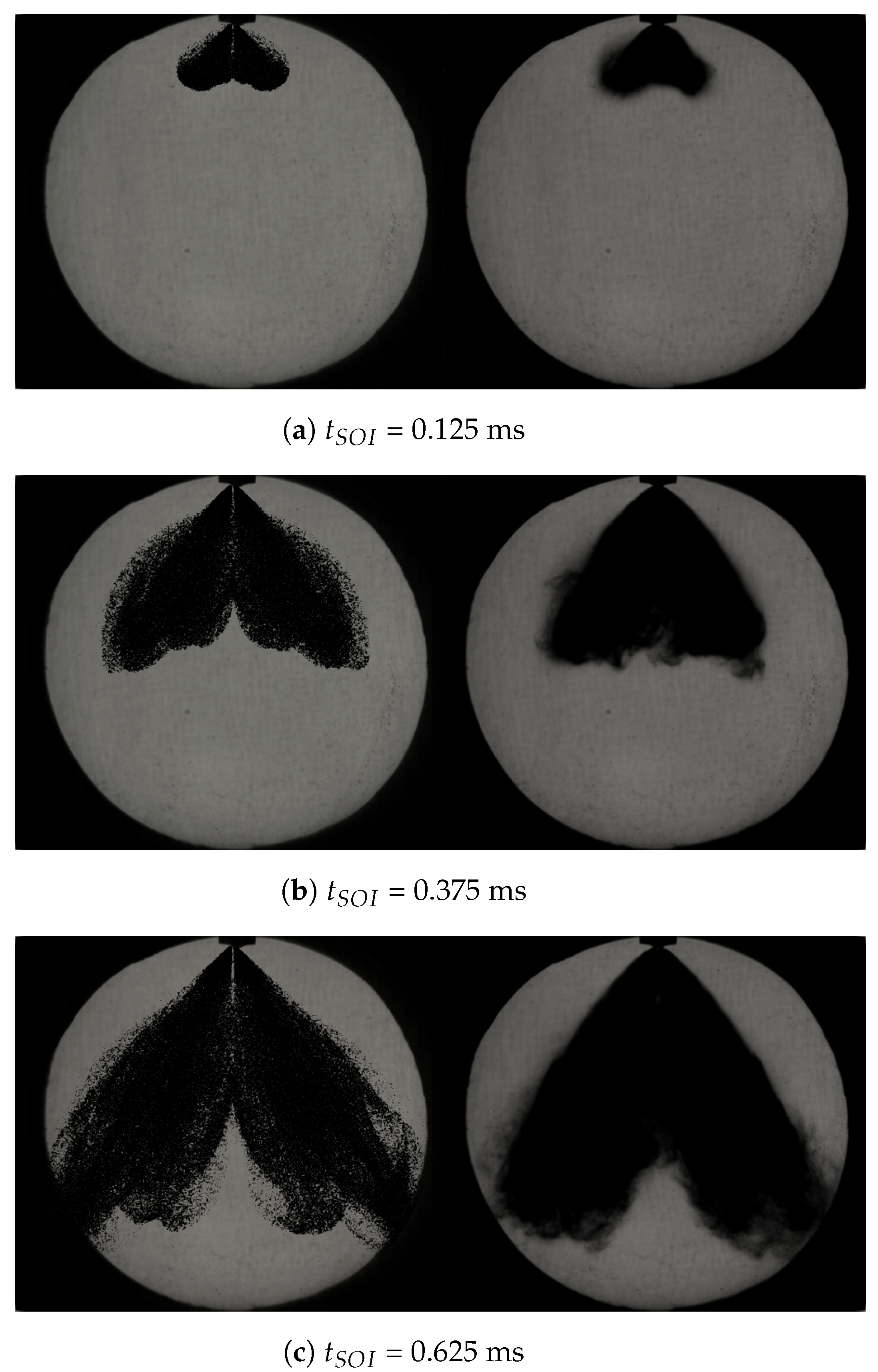 Fluids 08 00155 g006