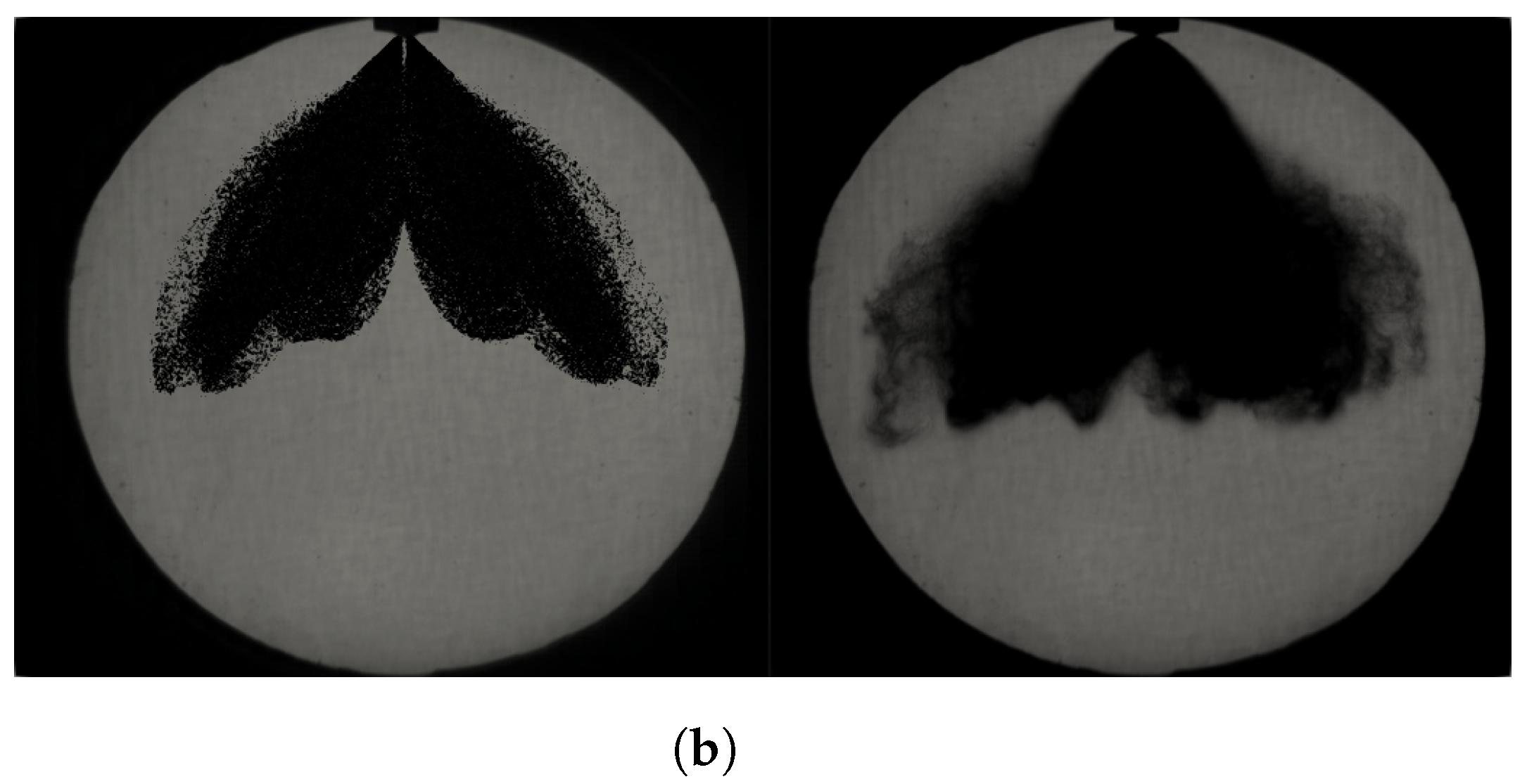 Fluids 08 00155 g007b