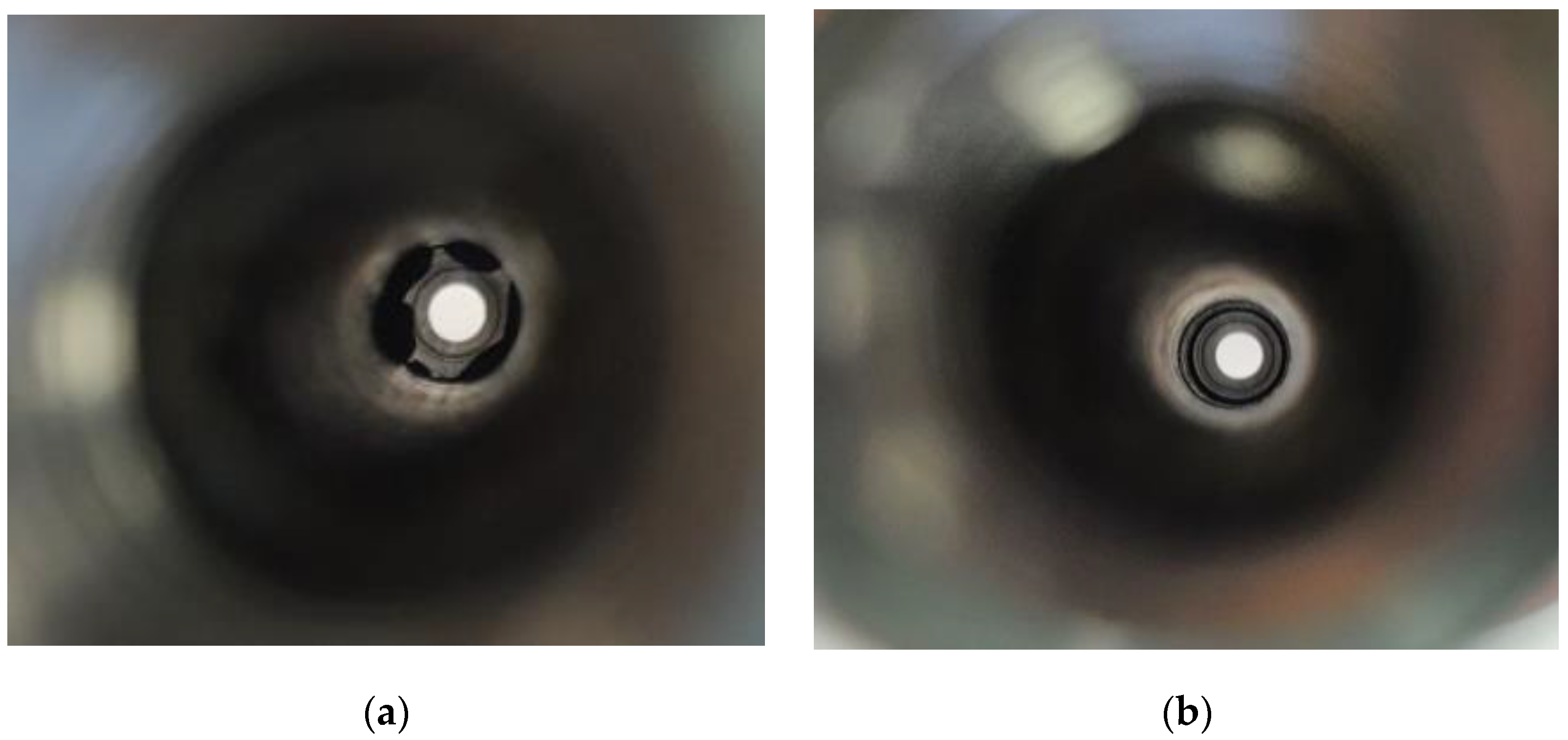 Fluids 08 00169 g005