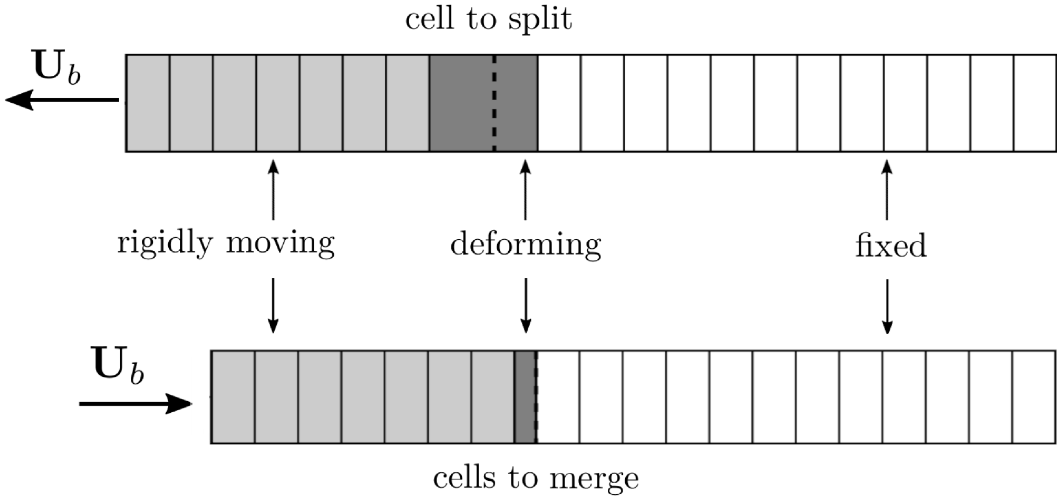 Fluids 08 00177 g005