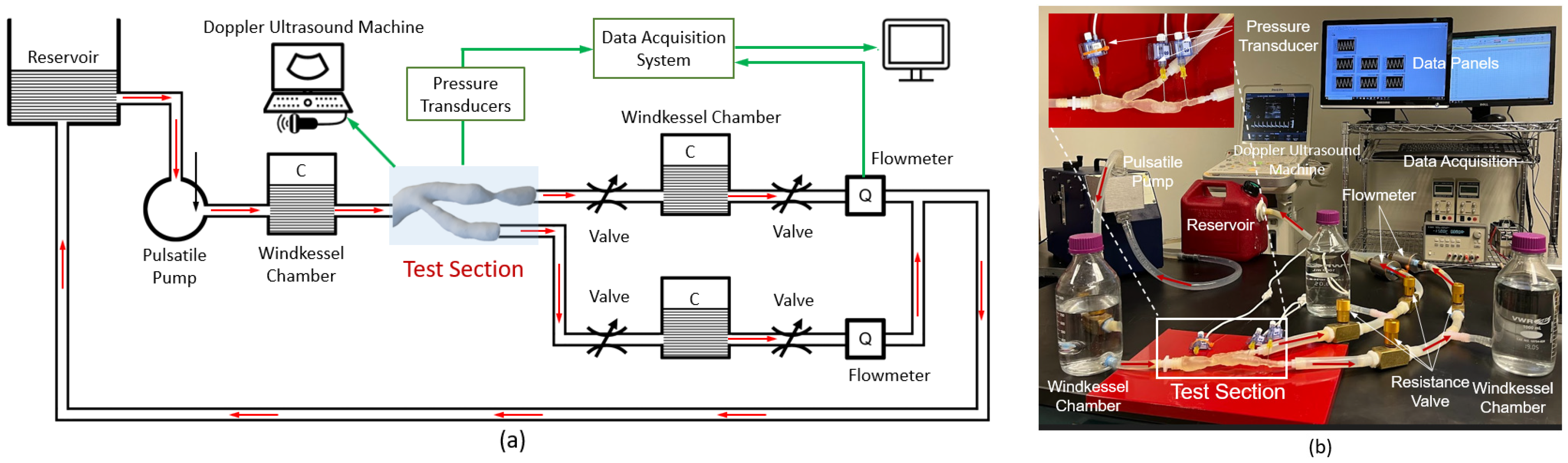 Fluids 08 00198 g002