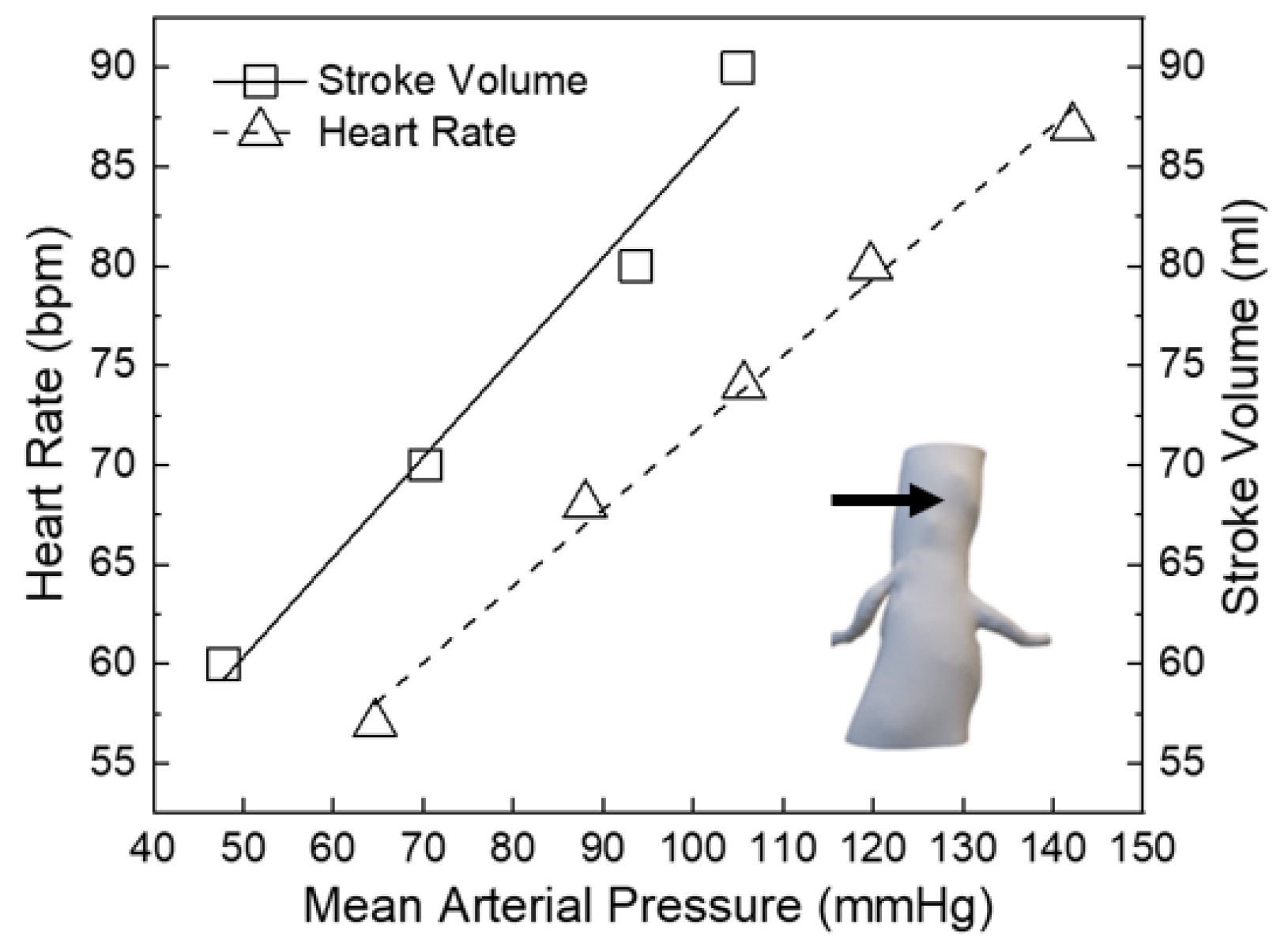 Fluids 08 00198 g008