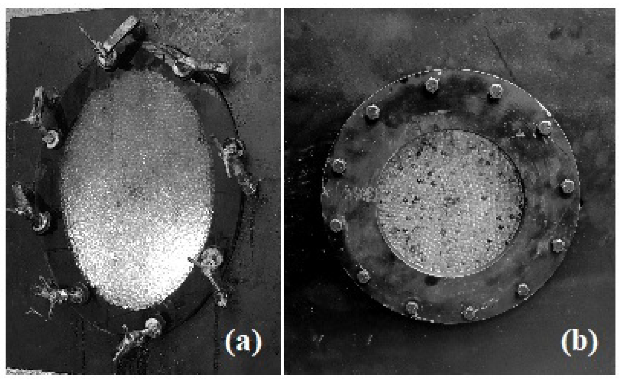 Fluids 08 00202 g003
