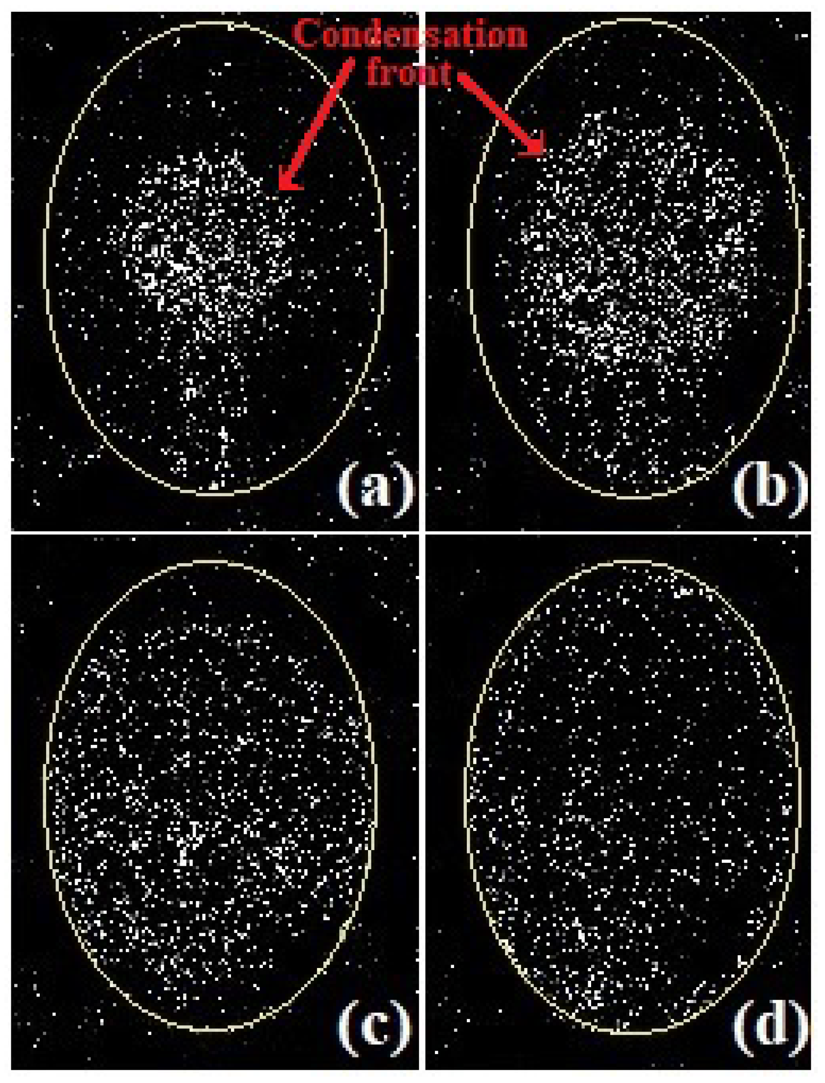 Fluids 08 00202 g004