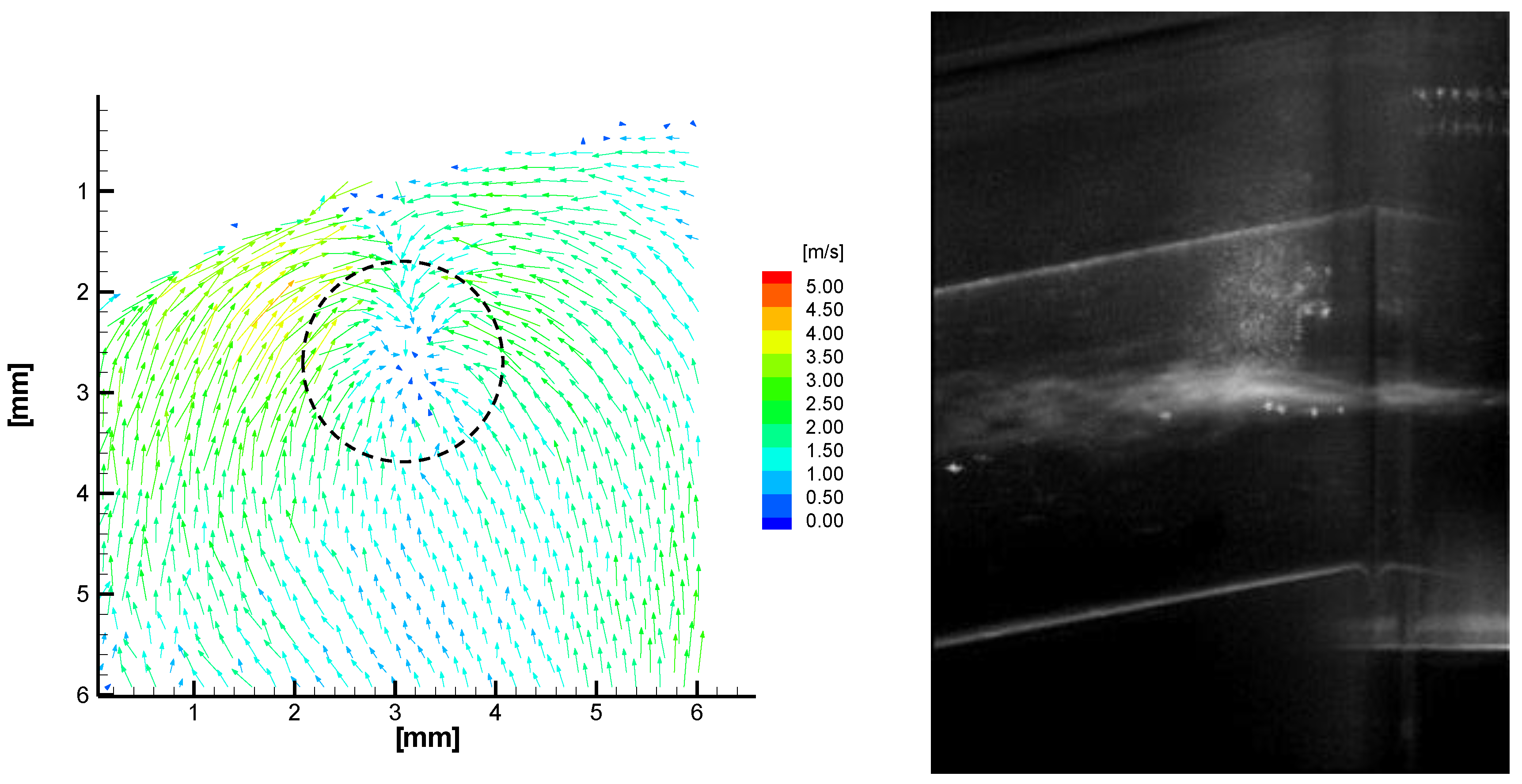 Fluids 08 00214 g010
