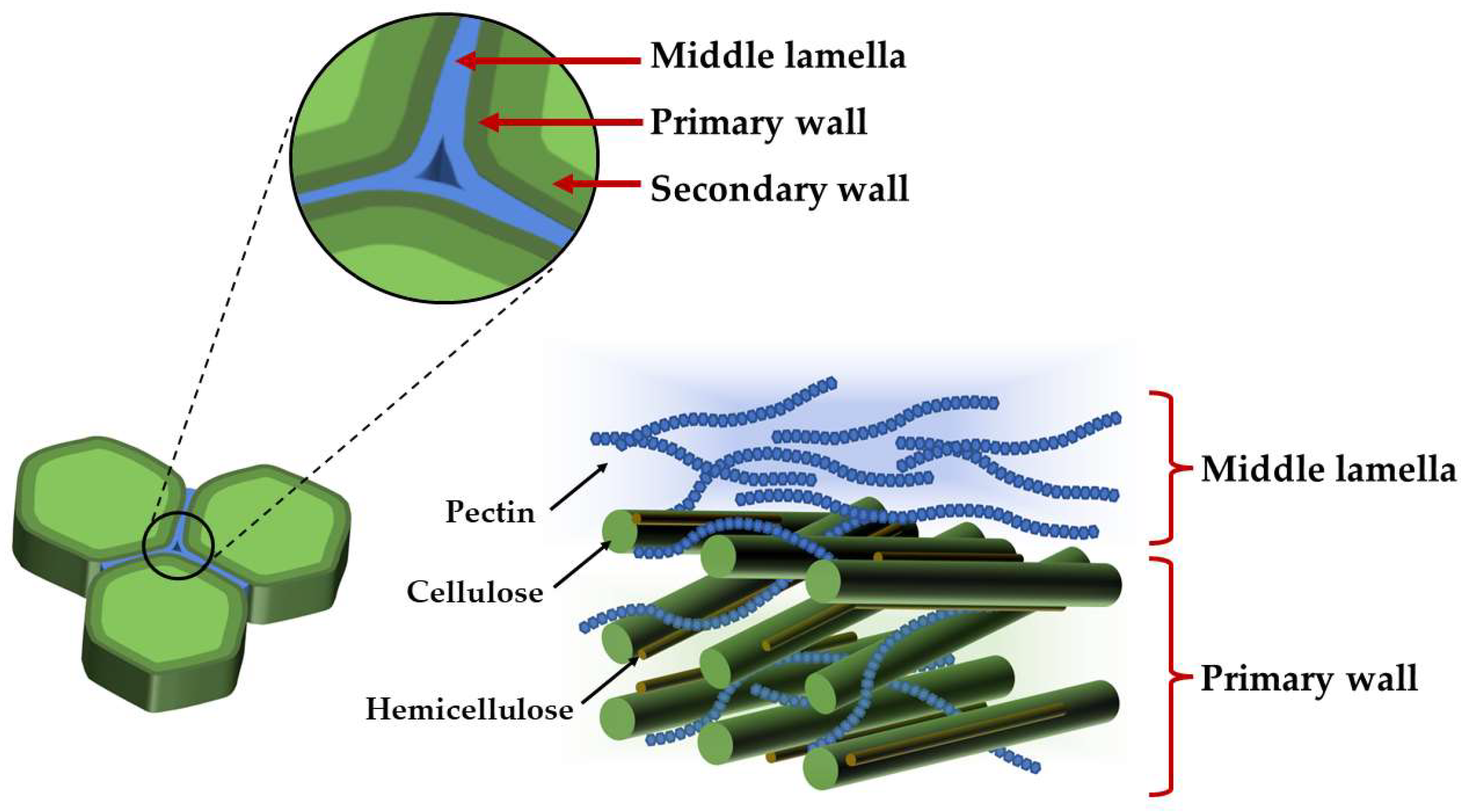 Fluids 08 00243 g002