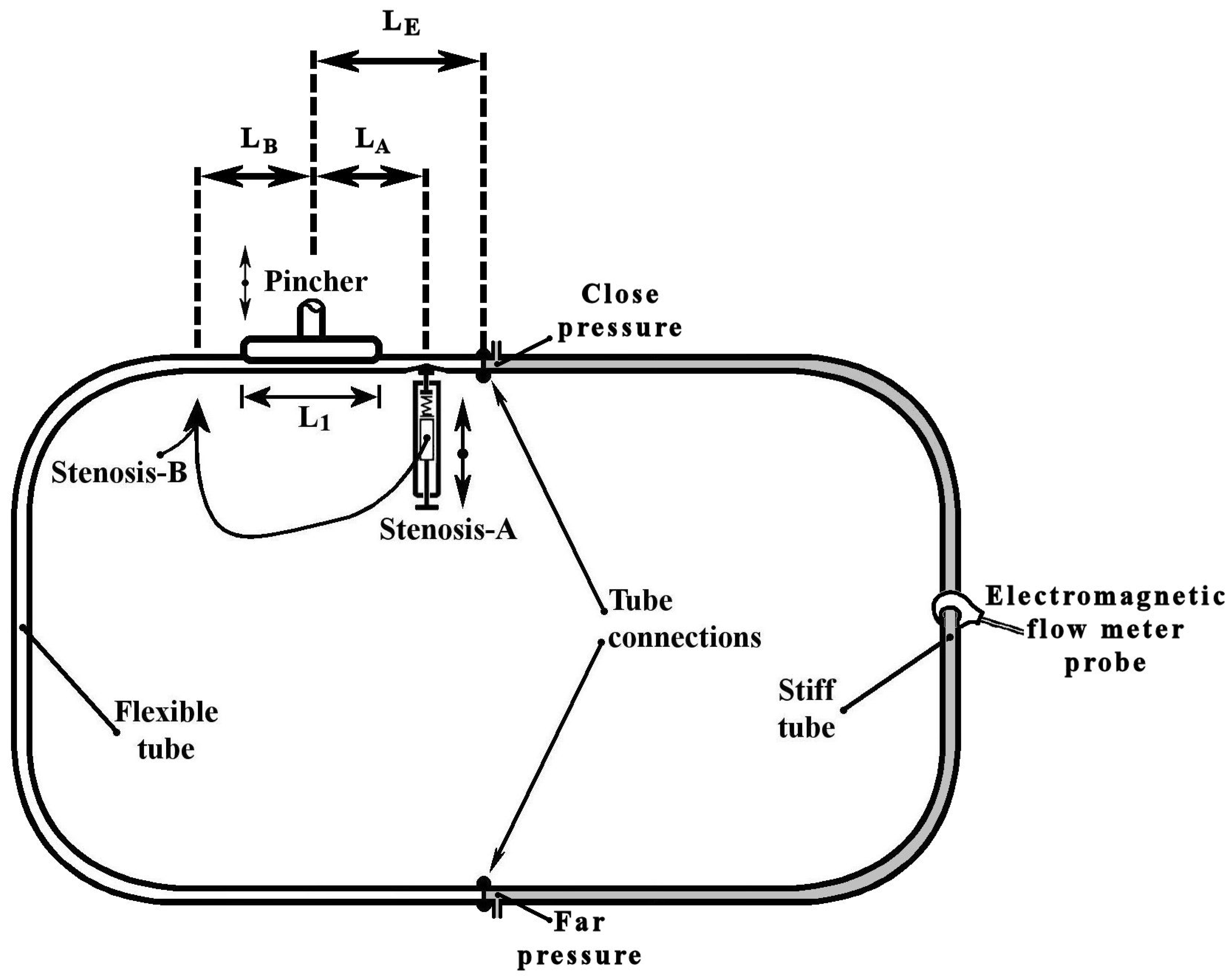 Fluids 08 00249 g001