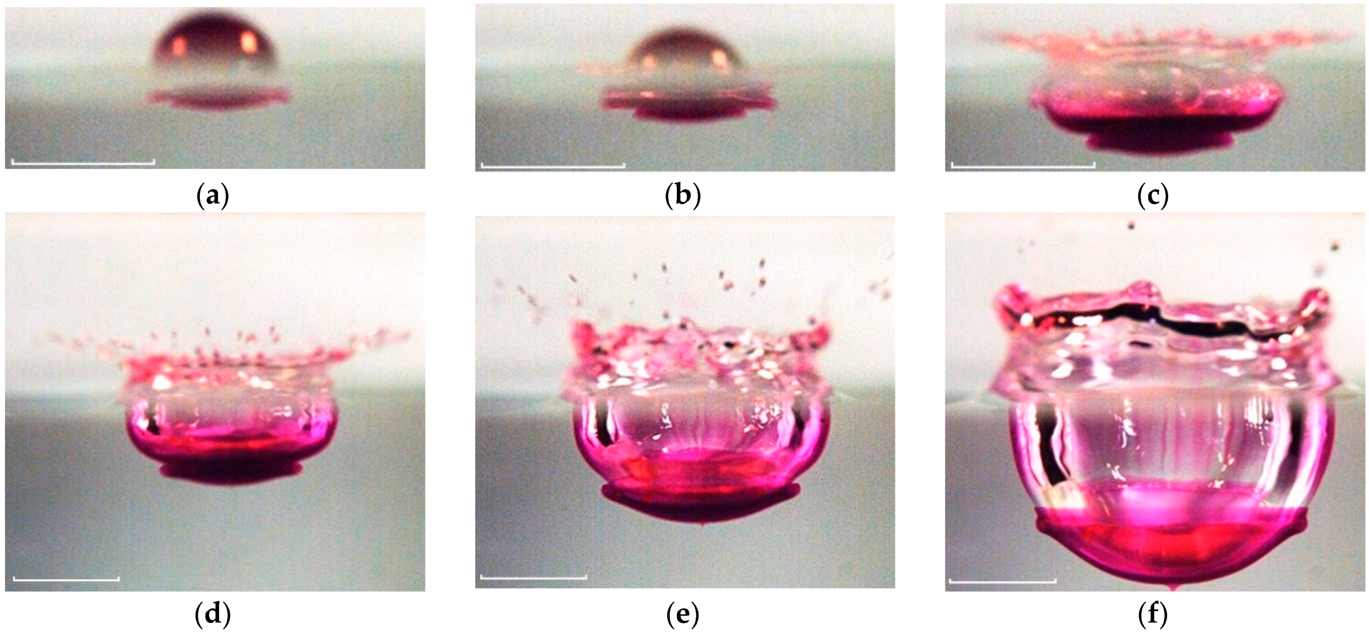 Fluids 08 00269 g009